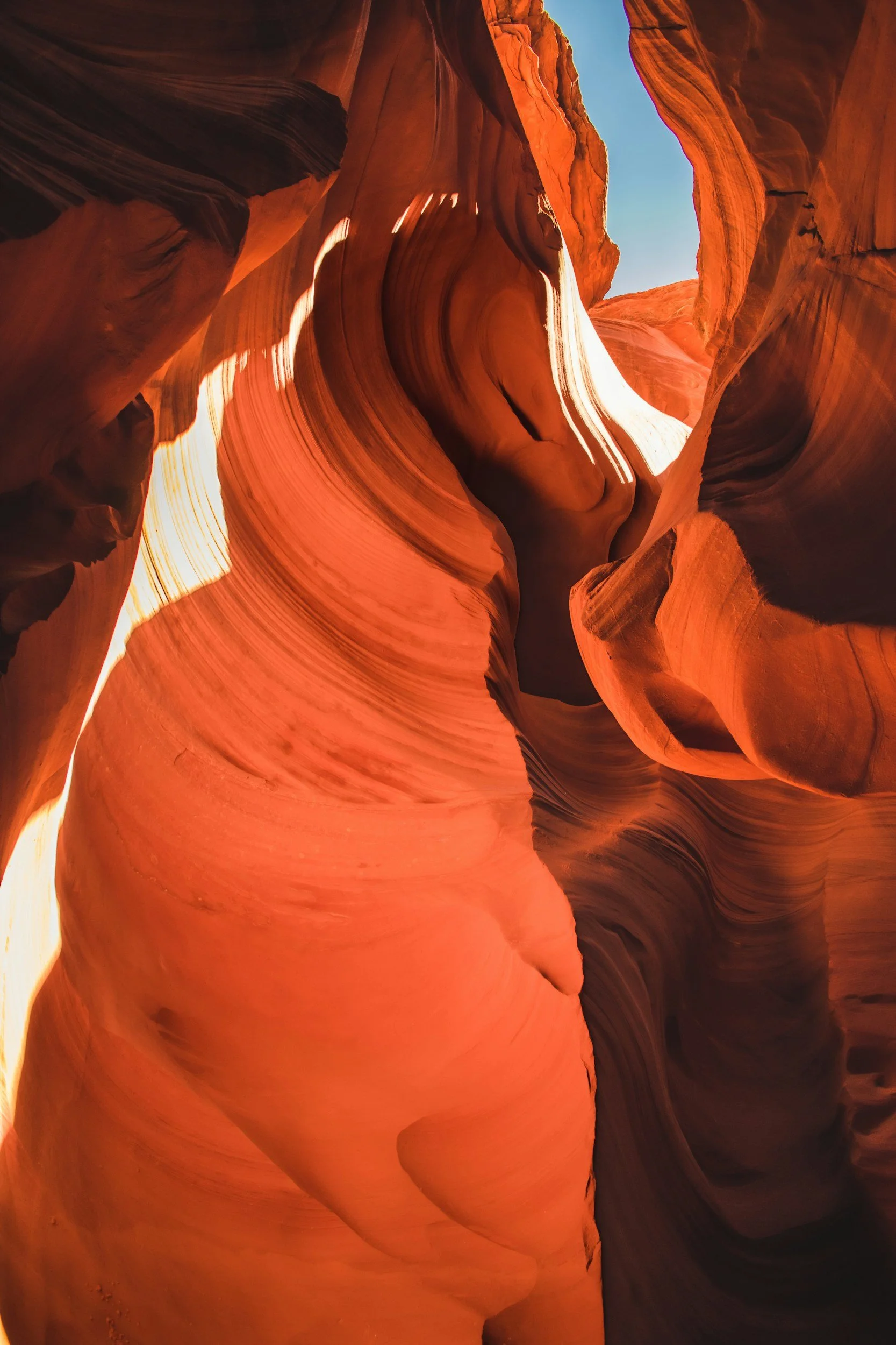 Sedona Yoga Festival- The Art of Everyday Detox: The Ayurvedic Way