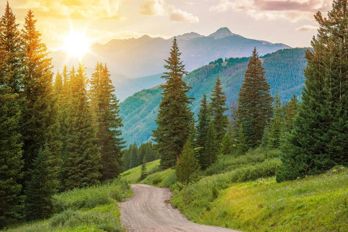 Sunlight over a forested Colorado mountain landscape