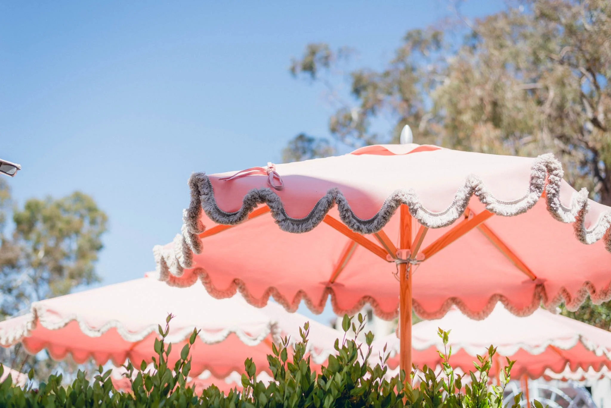 SPRING FORWARD WITH CONFIDENCE: REVIEWING YOUR INSURANCE THIS SEASON