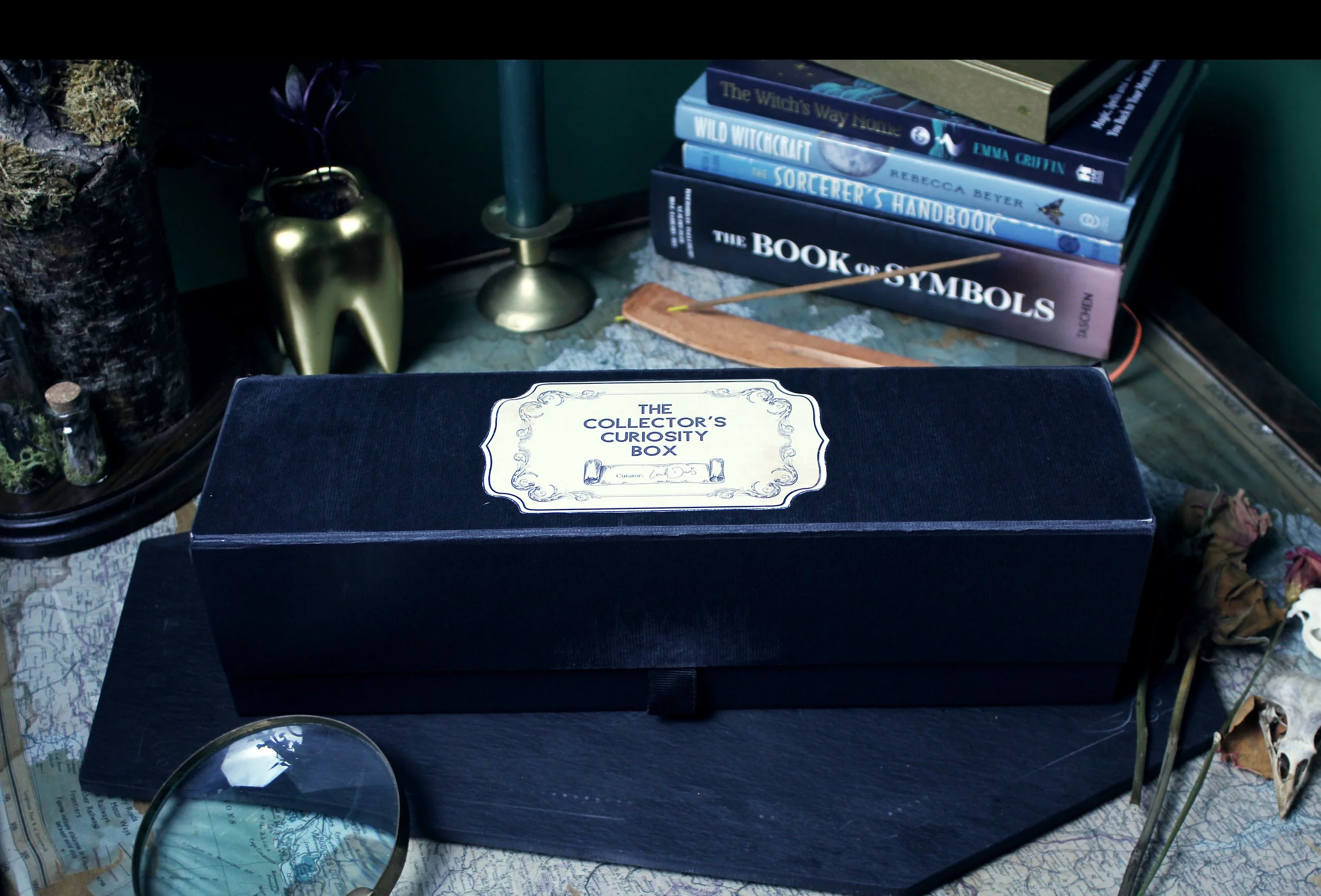 A black curiosity box labeled 'The Collector's Curiosity Box' is placed on a map with various books, a magnifying glass, a golden tooth-shaped object, and decorative items nearby.