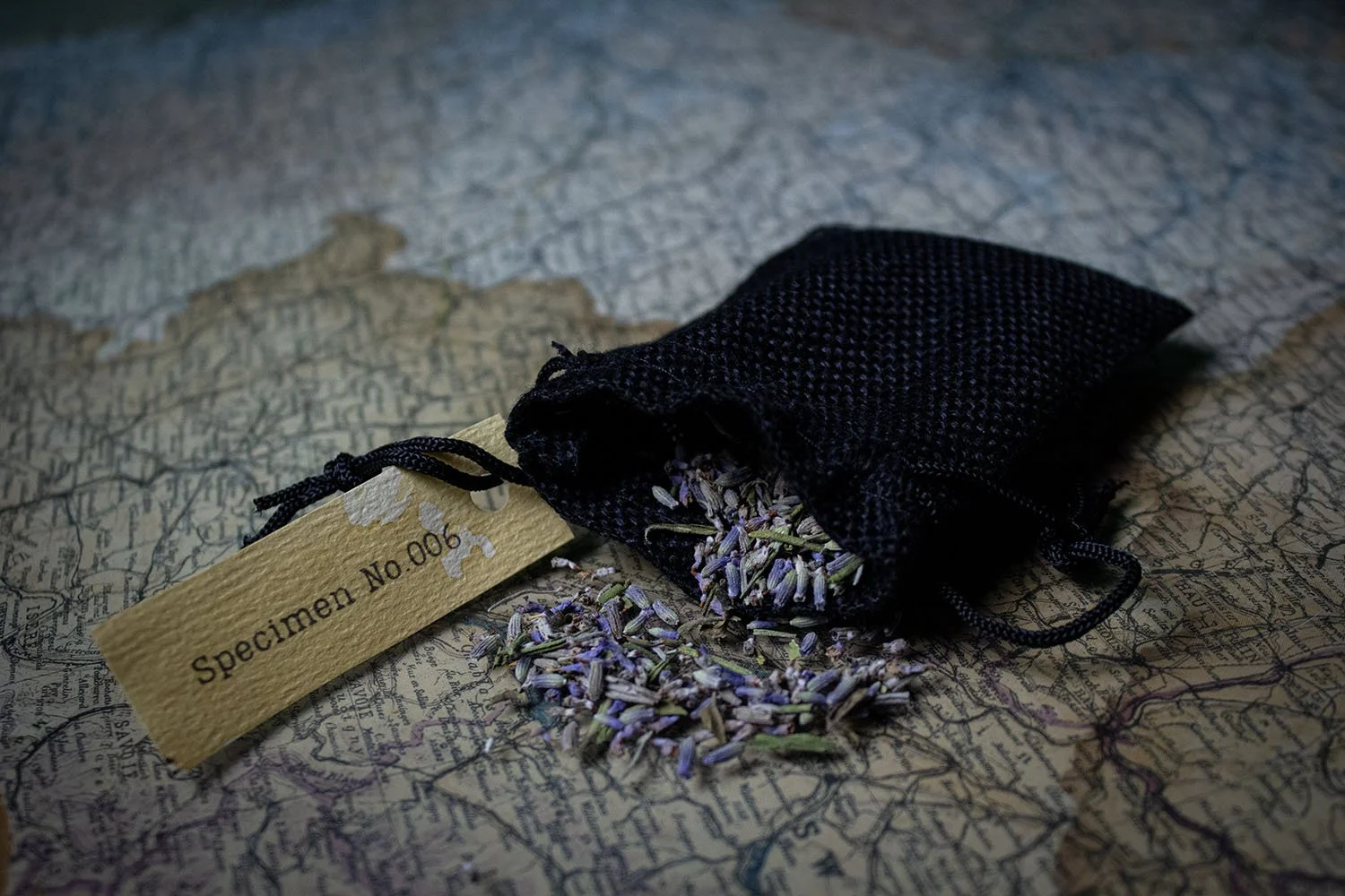 Lavender flowers spilled from a small black fabric bag with a yellow tag that reads 'Specimen No. 006,' placed on top of a vintage map.