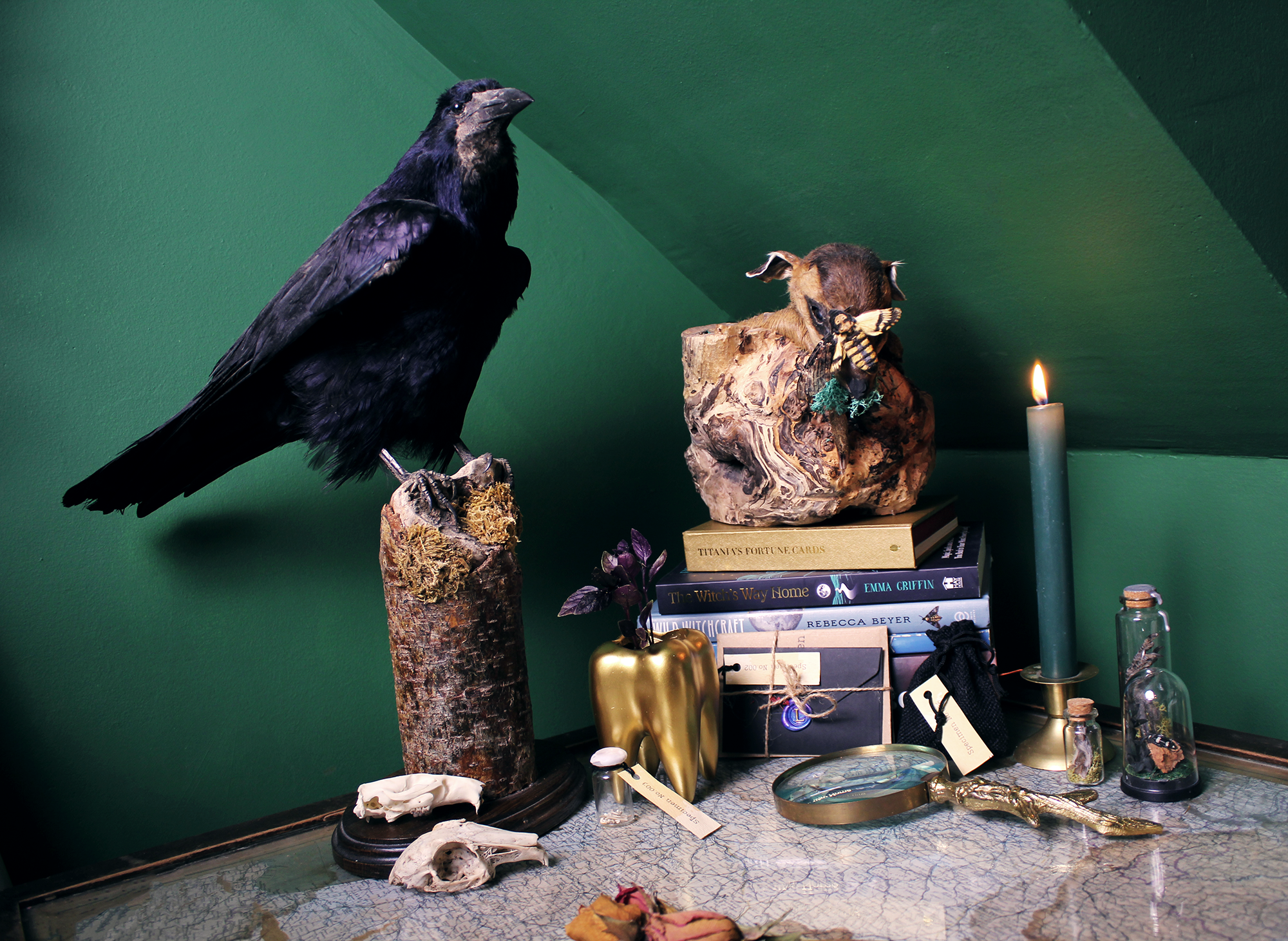 A dark bird perched on a tree trunk, a sculpture of an animal with a butterfly on its nose, and various decorative objects including books, jars, a candle, a gold-colored tooth sculpture, and plants on a table against a green wall.