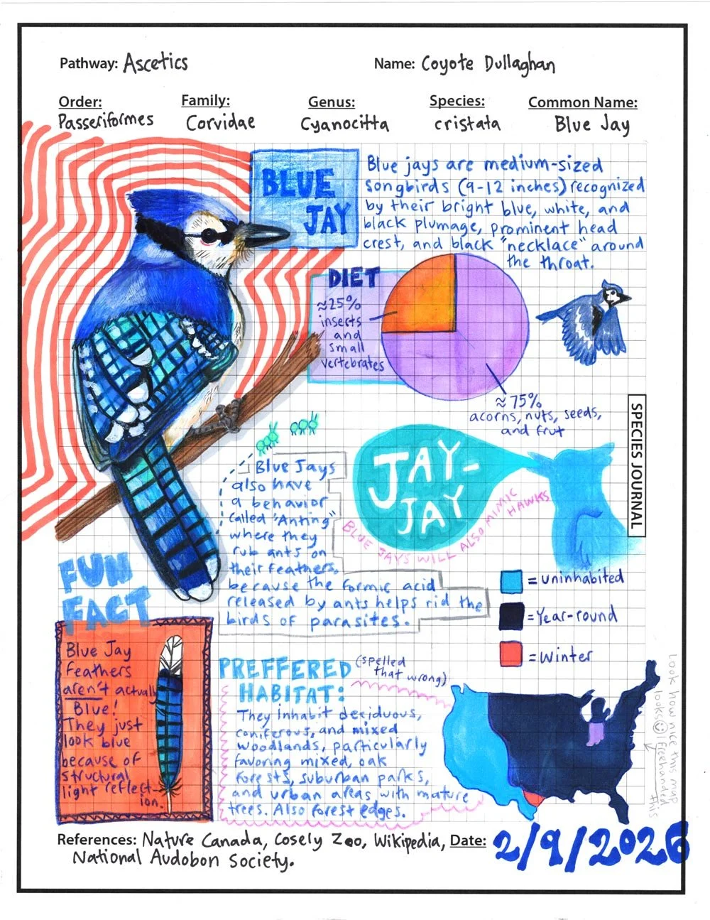 Marker, colored pencil, acrylic paint