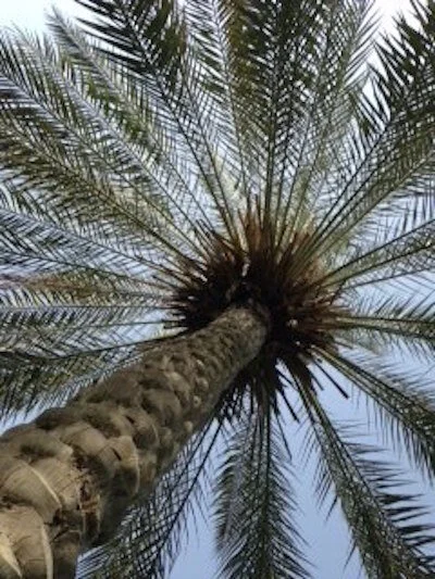 In the Service of Love