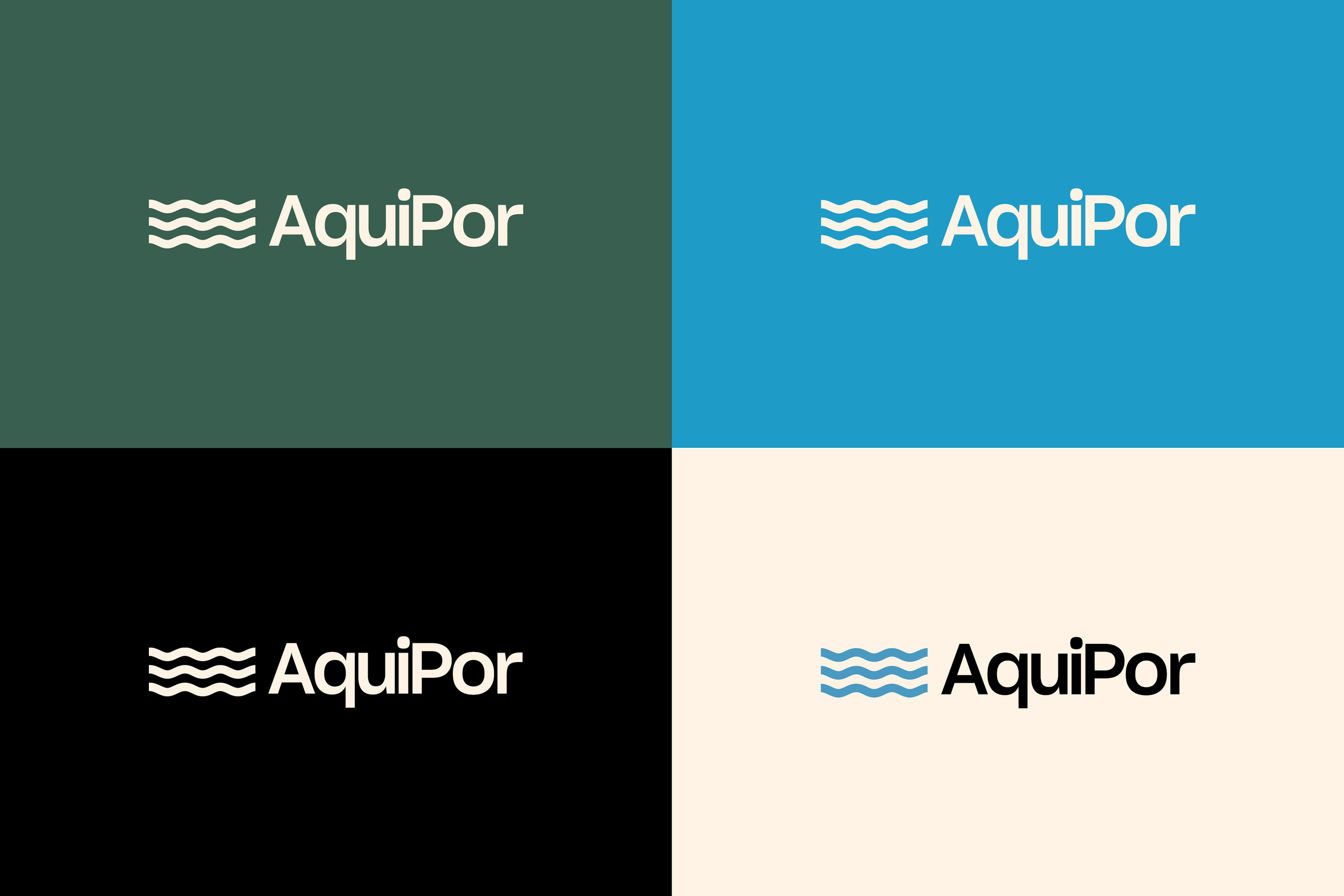 Aquipor Logomark.png