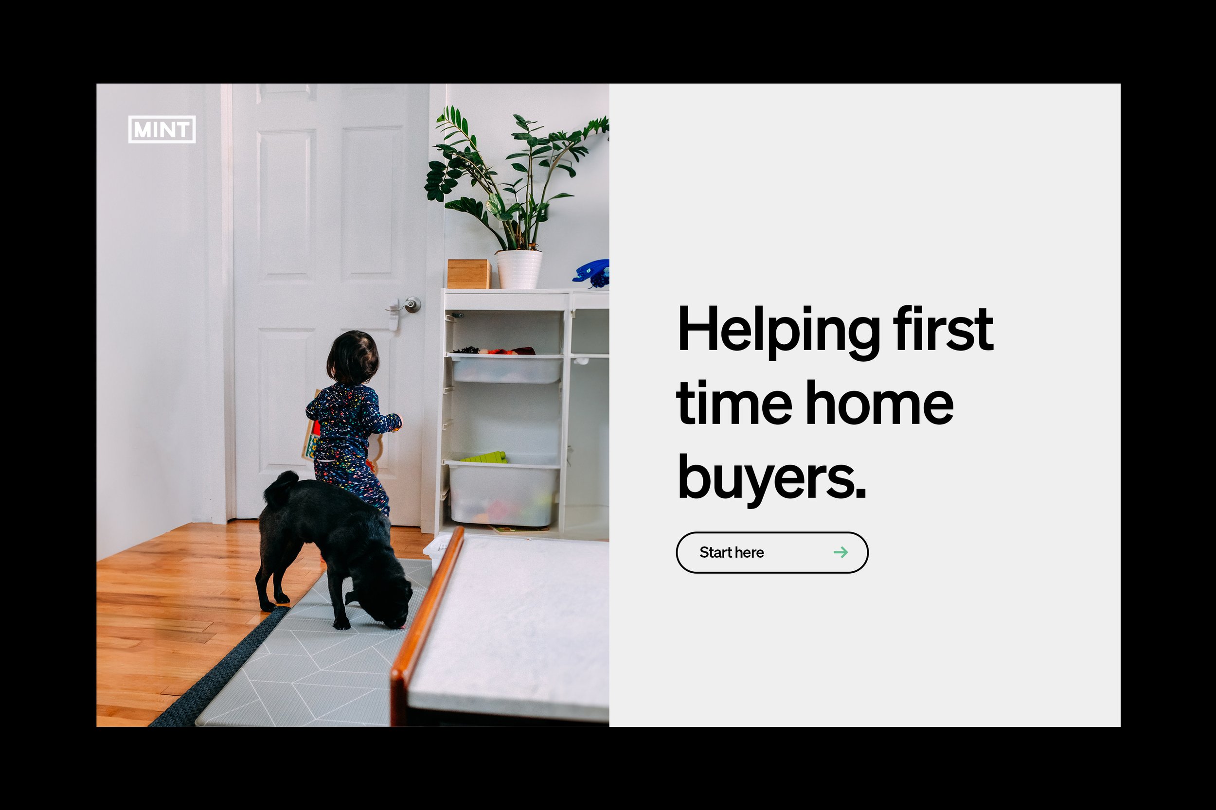 Mint Homepage.jpg