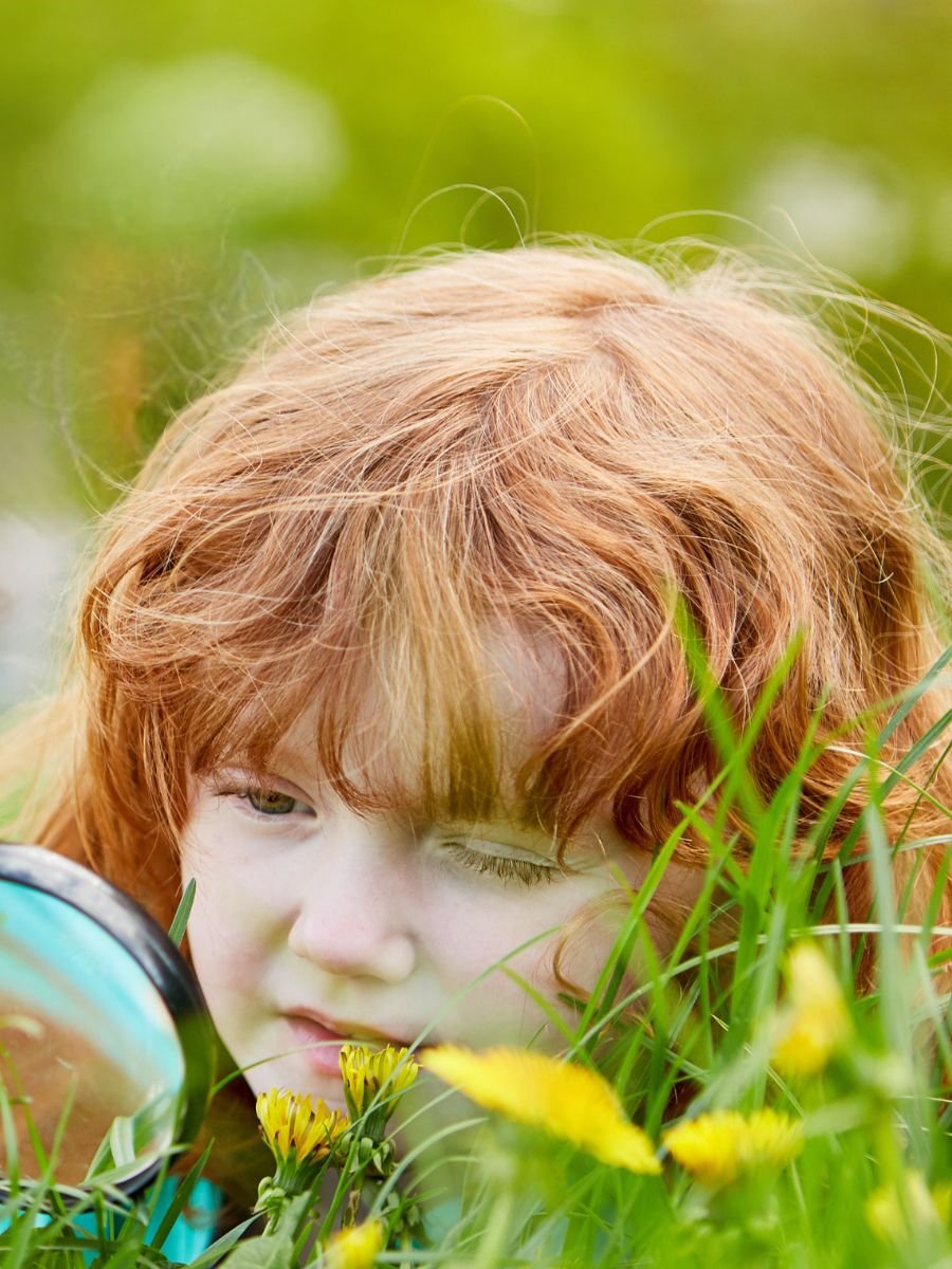 Ein Schmetterling den Kinder entdecken können