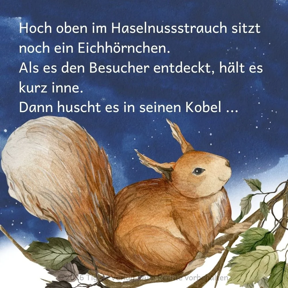 Illustration mit einem Eichhörnchen in einem Haselnussbaum vor einem sternenklaren Abendhimmel. Im Hintergrund befindet sich die Textseite der Einschlafgeschichte „Wanderer im Licht der Sterne“.