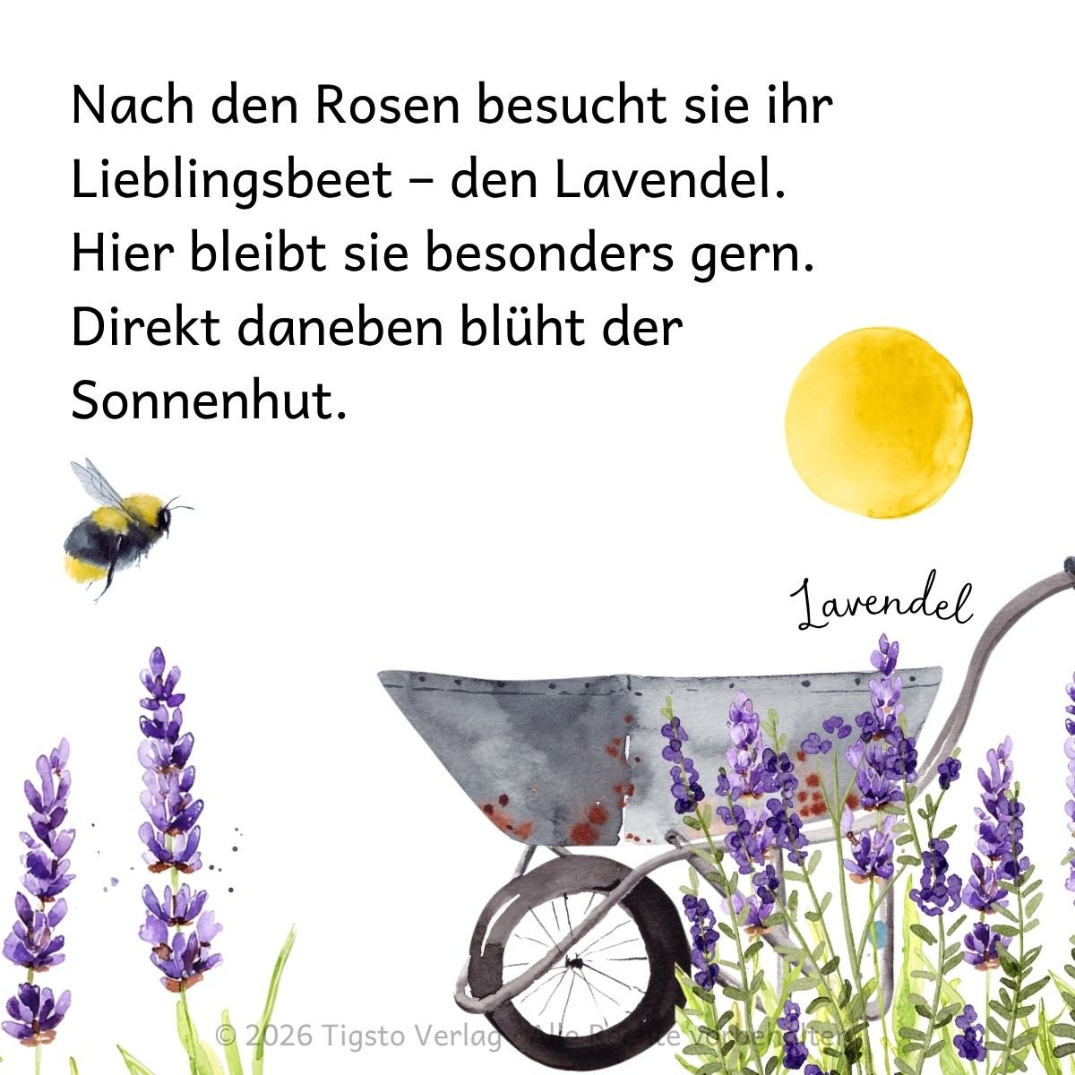 Hummel fliegt an einer Schubkarre vorbei zu einem Lavendelbeet aus der Kindergeschichte „Eine Hummel schläft ein“.