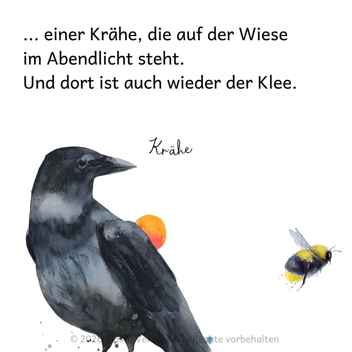 Krähe steht auf einem Feld im Abendlicht aus der Kindergeschichte „Eine Hummel schläft ein“.