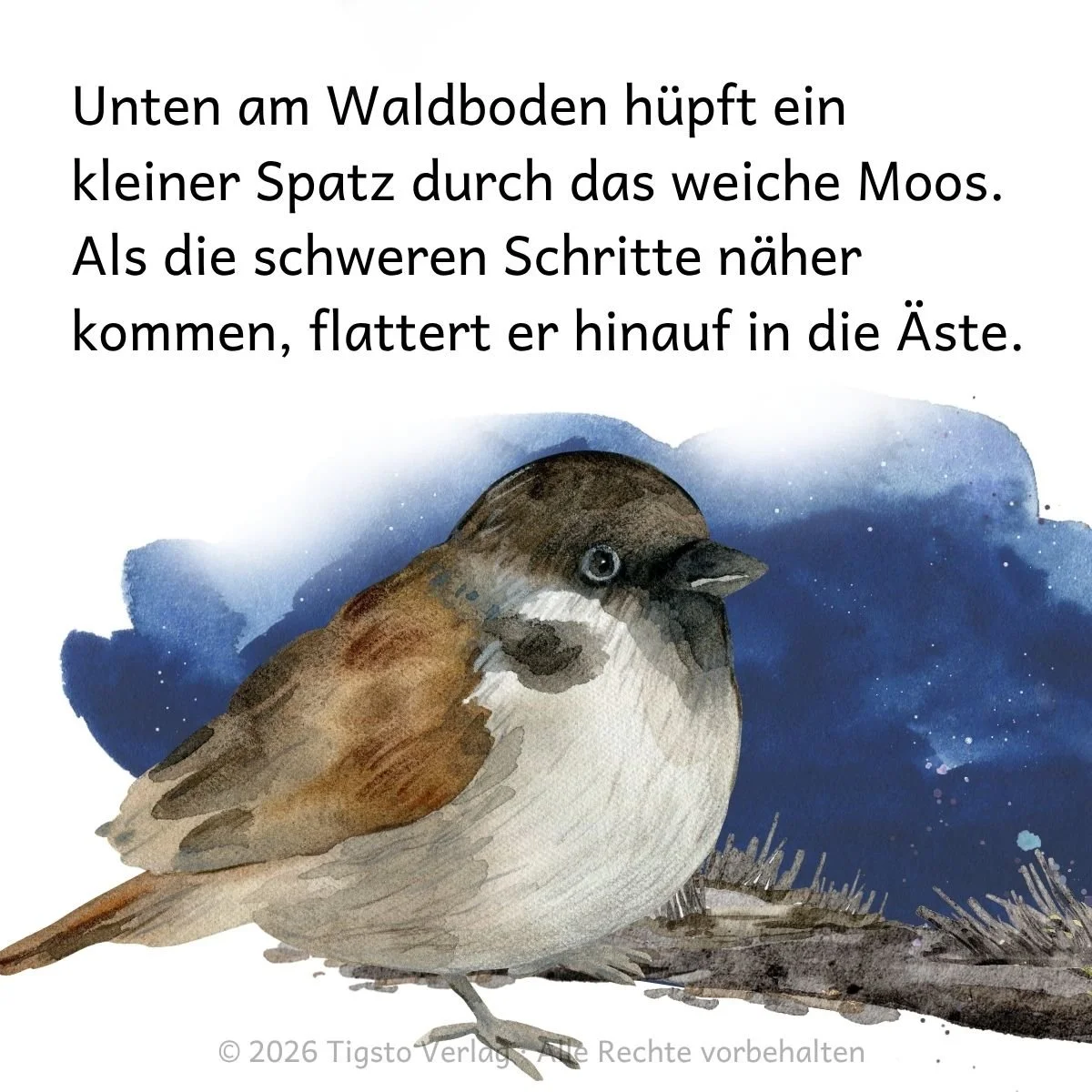 spatz-wanderer-baer-einschlafgeschichte.jpg