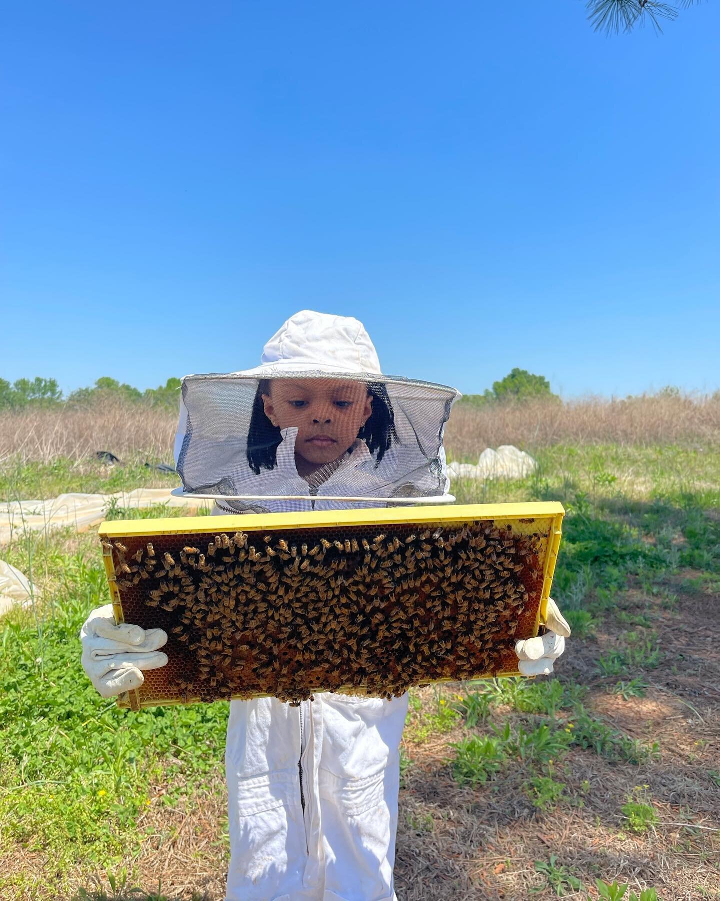 Whenever youth visit our @airbnb Bees In The TRAP it&rsquo;s always a special experience! We believe exposure is key! 

#youthfarming #blackfarmers #gardening #beekeeping #airbnb