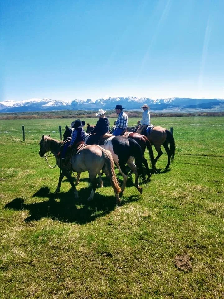 About — Pot Hook Beef