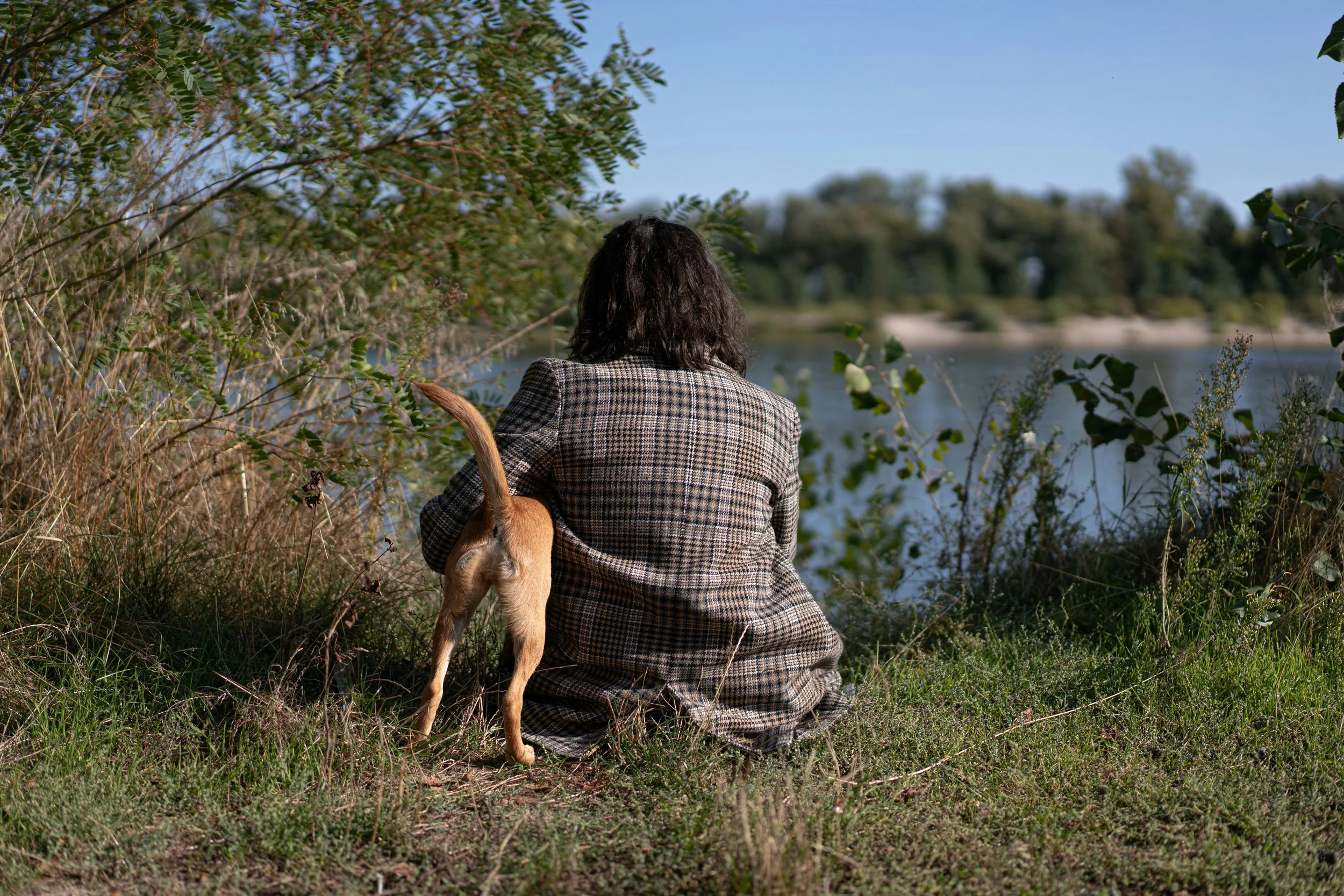 ポリヴェーガル理論入門