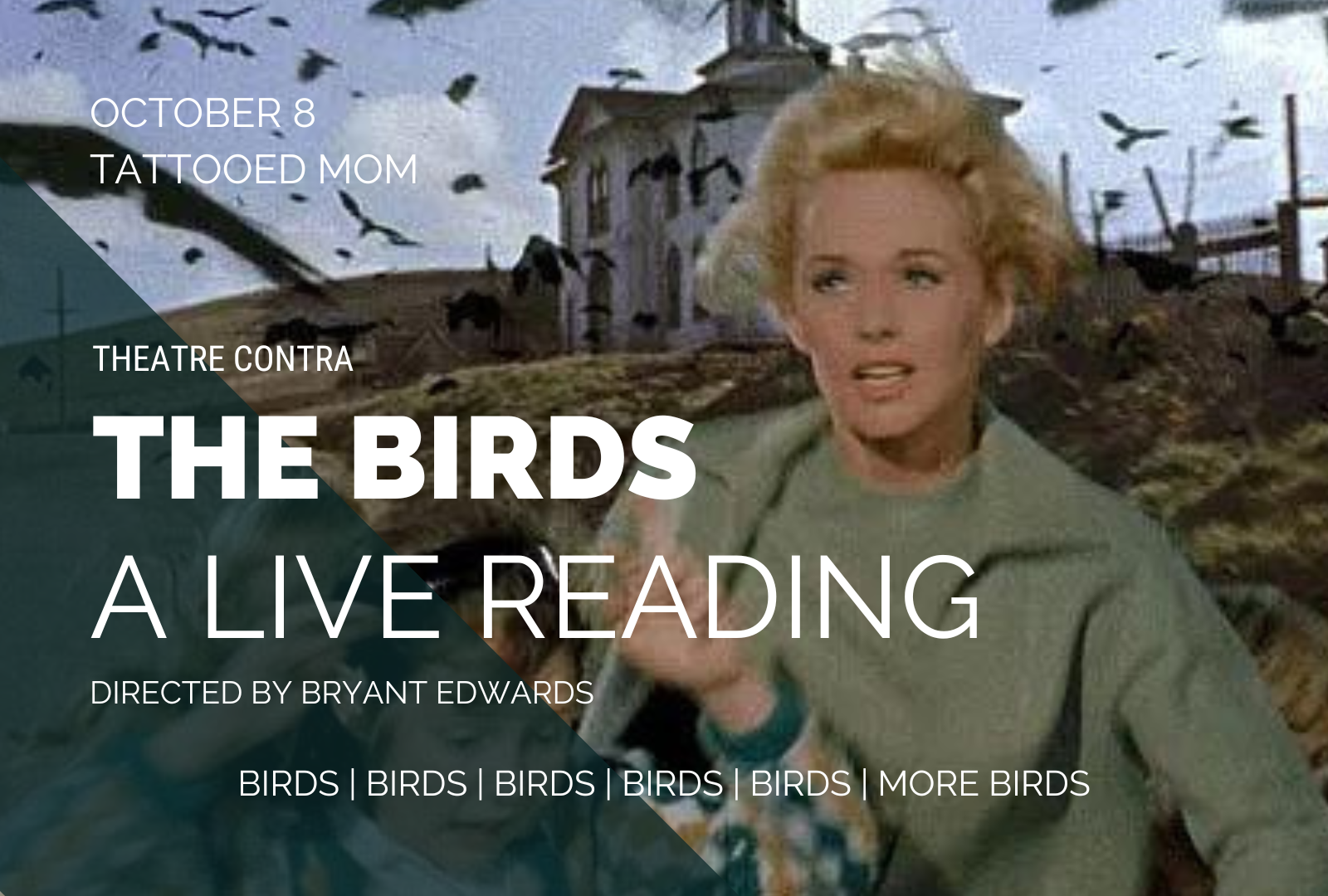 The Birds (5).png
