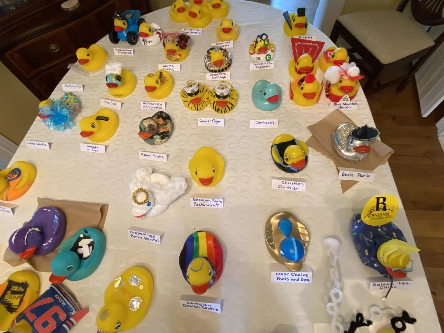 Rubber Duckie Race 2025 — Collingwood Optimist Club