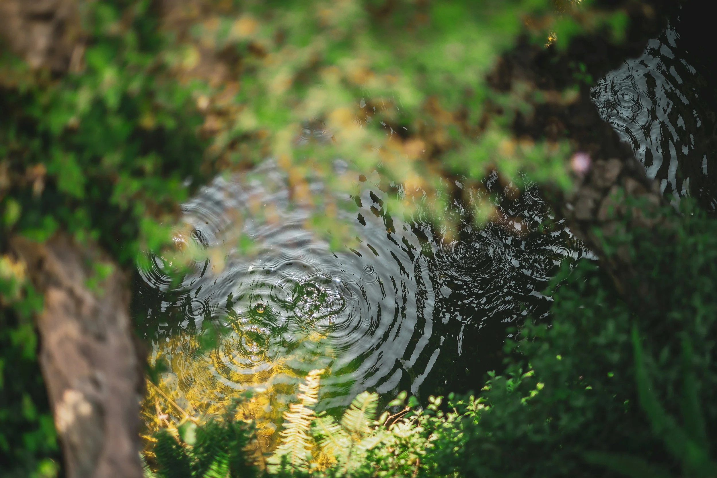 Under Control: Two Ways of Managing Change