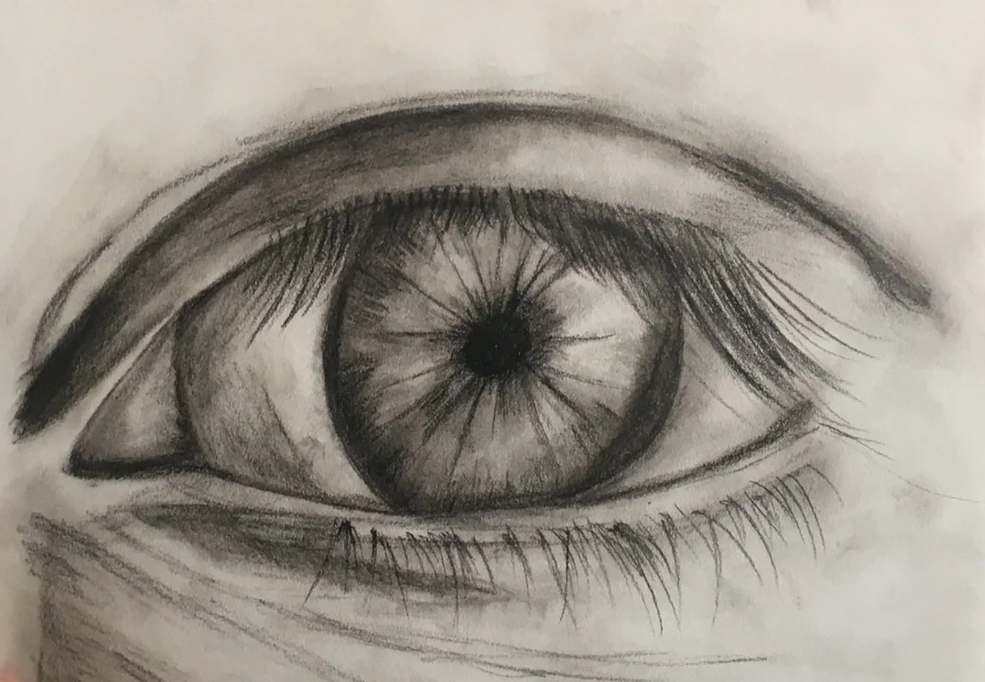 56348258237__634293A3-B7A8-4B01-A8E3-57F8129CBB9A+%281%29.jpg
