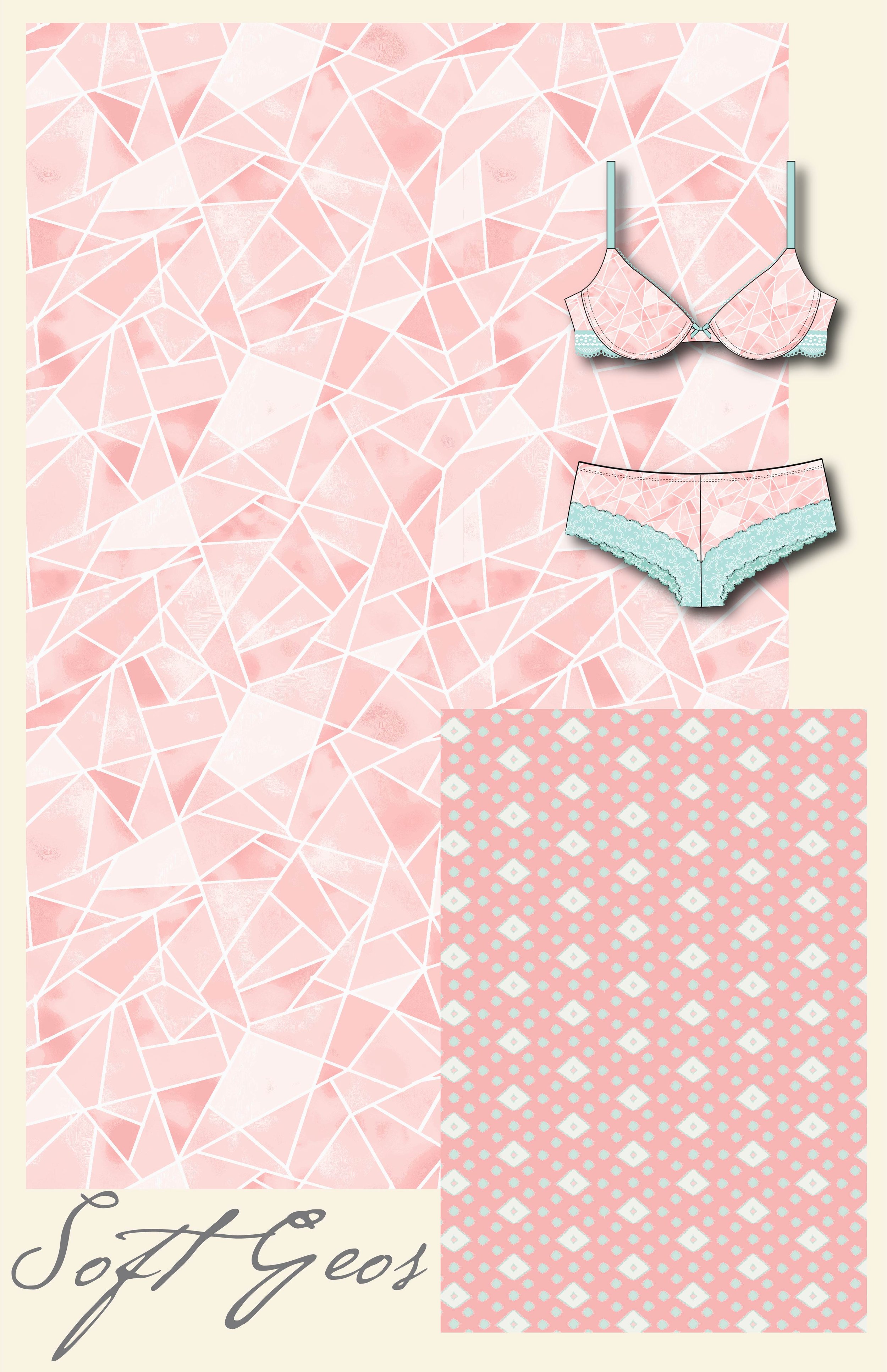 Women's Intimates Project