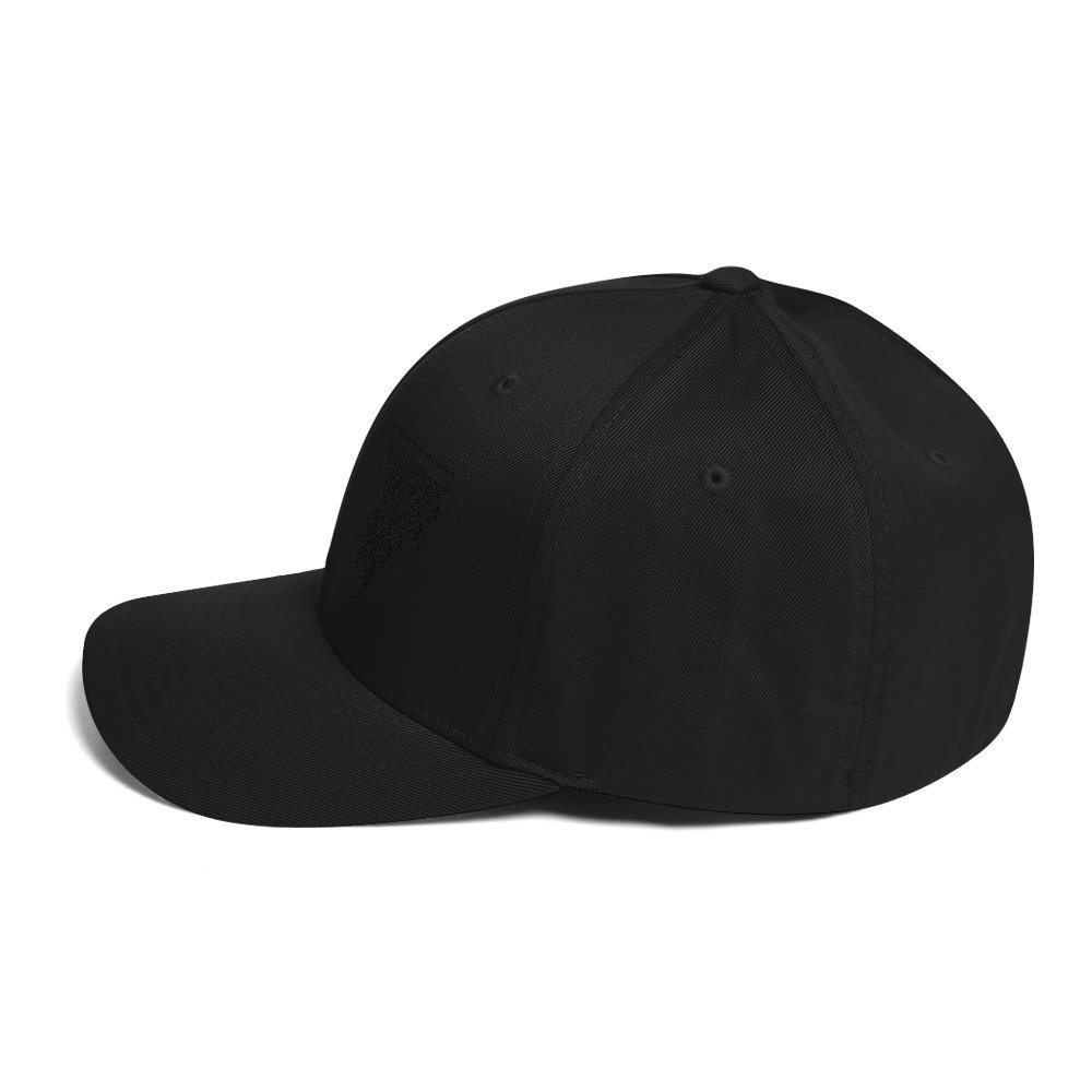 closed-back-structured-cap-black-left-side-67e73a8380af3.jpg