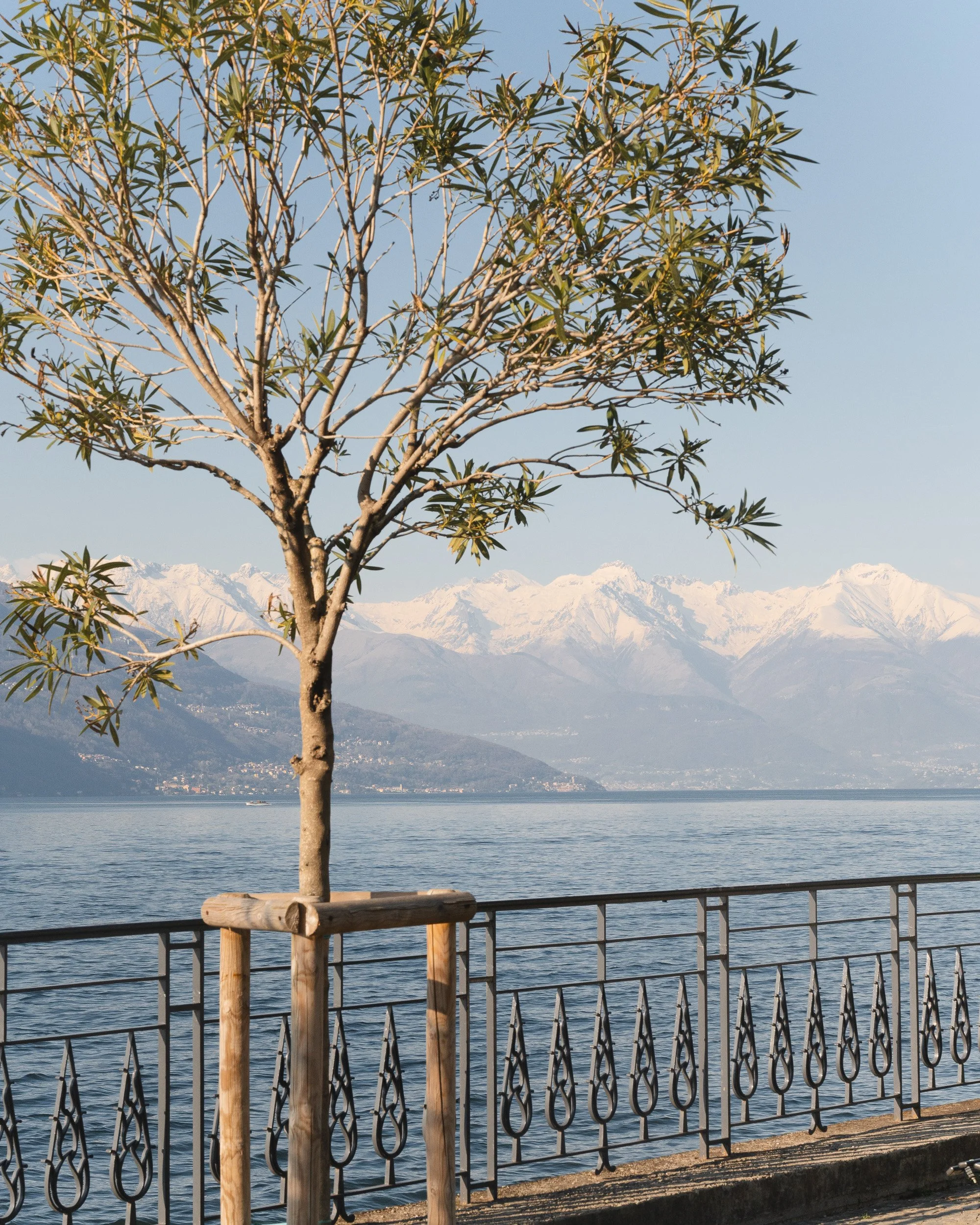 efigenio-lake-como-0012.JPG