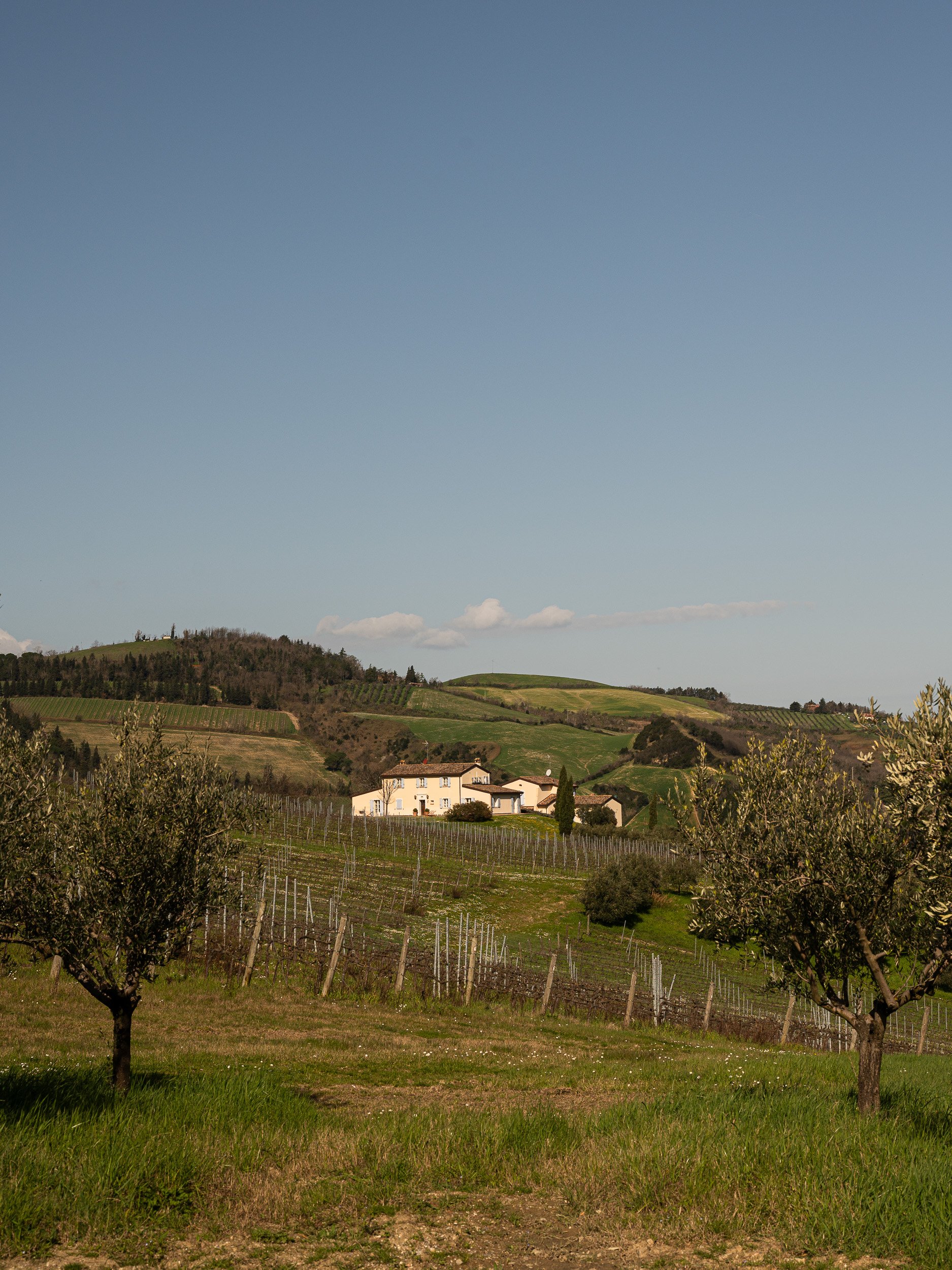 efigenio-borgo-conde-0019.JPG