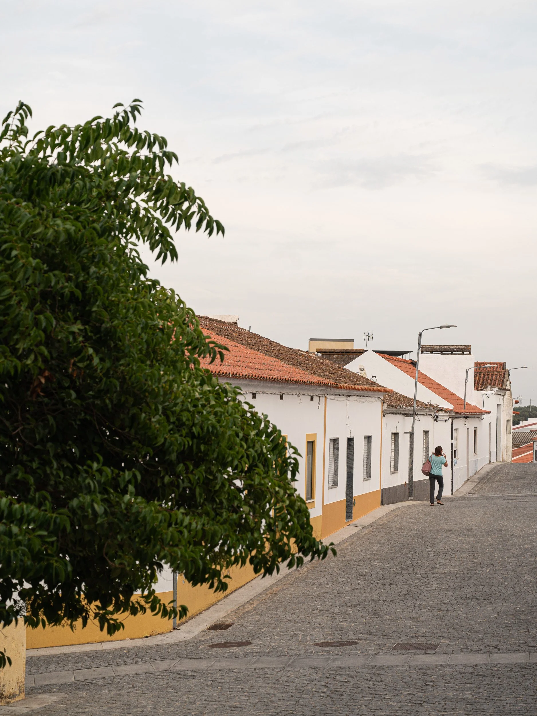 VIANA-DO-ALENTEJO-IG-12.jpg
