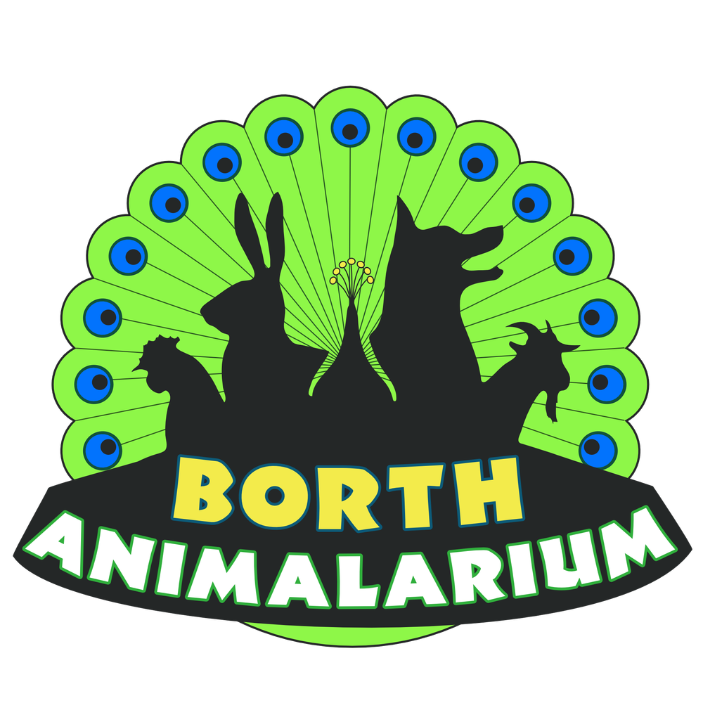 Admission — Borth Animalarium