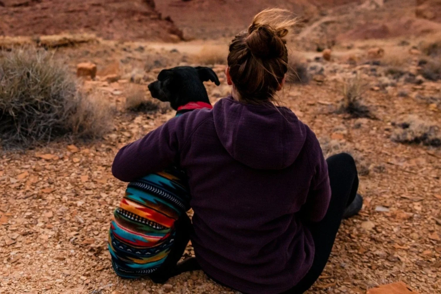 Woman in a purple hoodie sitting with her dog on a rocky desert trail, looking out at the landscape.