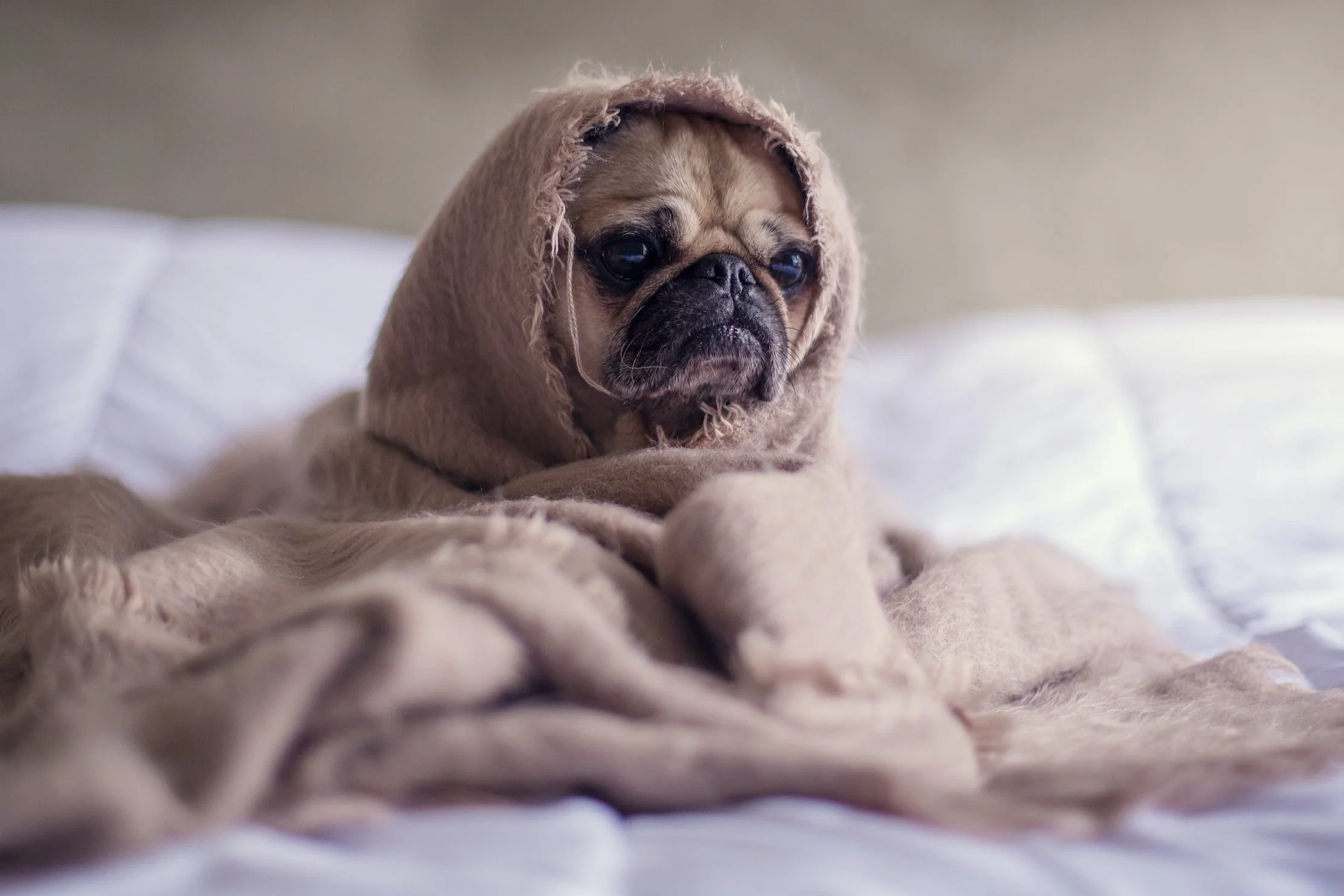 Burnout and Exhaustion During Menopause
