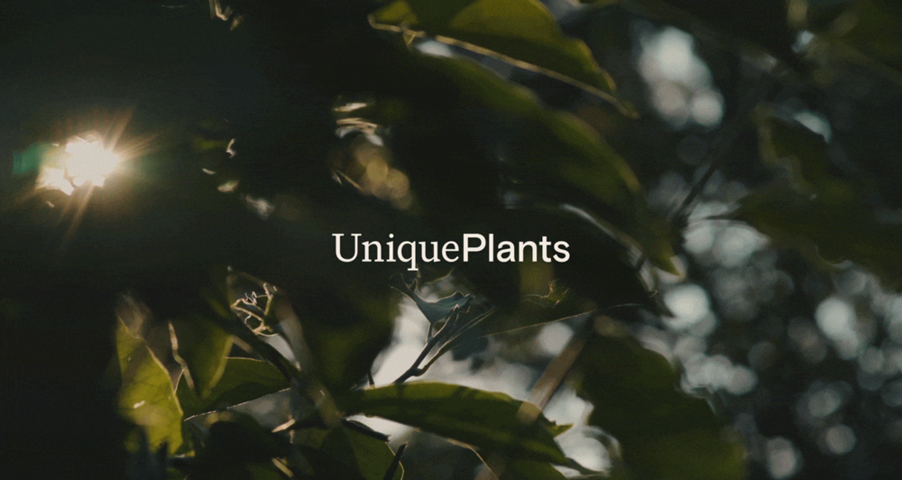 Unique Plants website