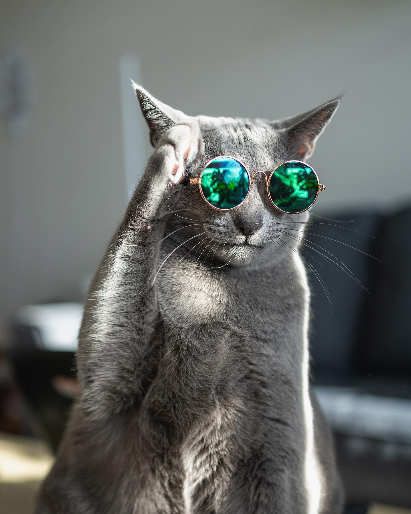 Deal with it.
#zuko