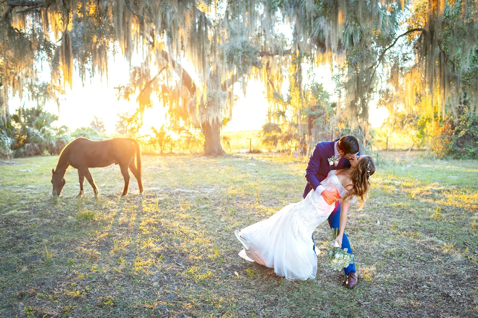 A couple in wedding attire kissing outdoors during sunset, with a horse grazing nearby and trees with hanging moss in the background.