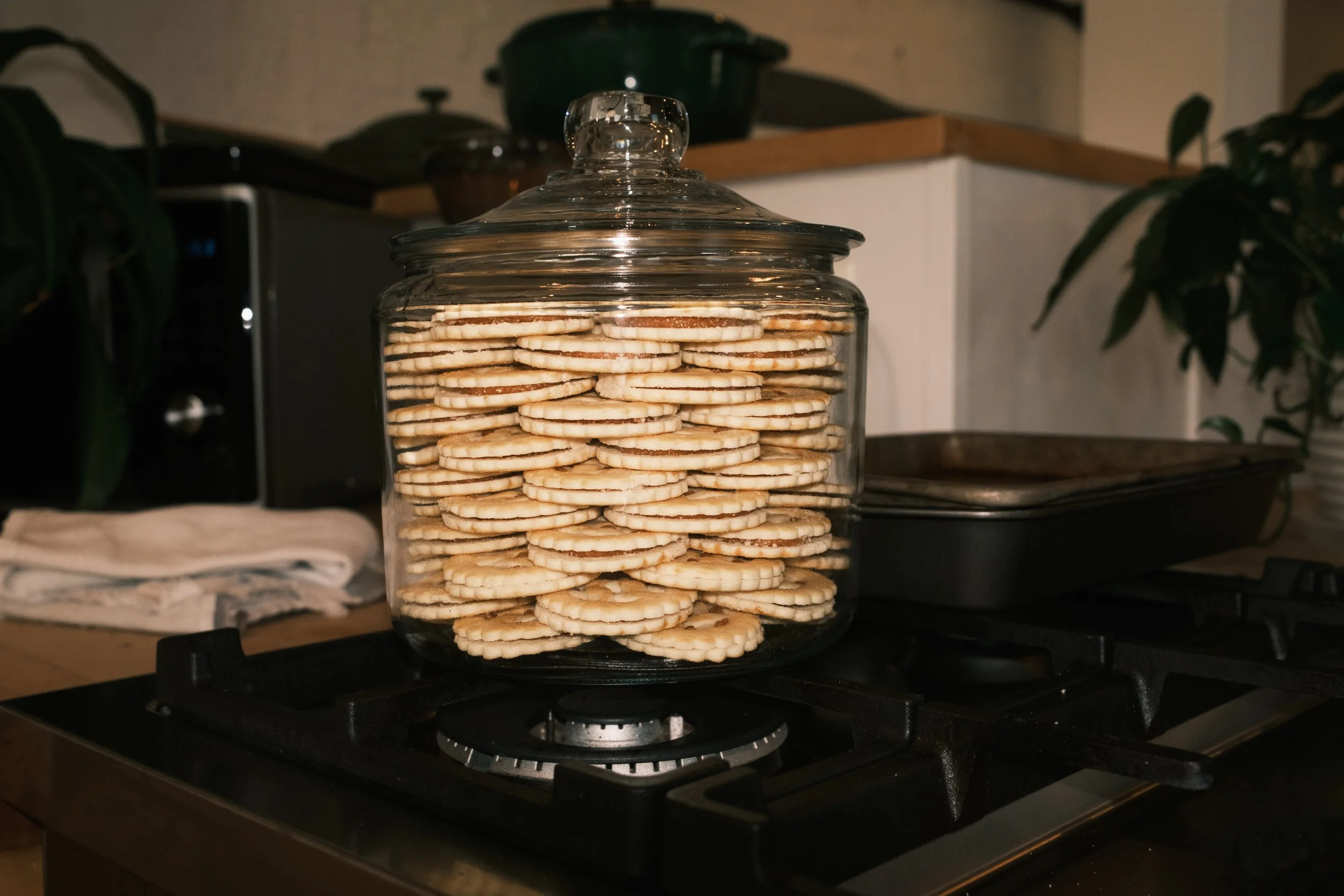 PF_ApplePieBTS-9693 2.JPG
