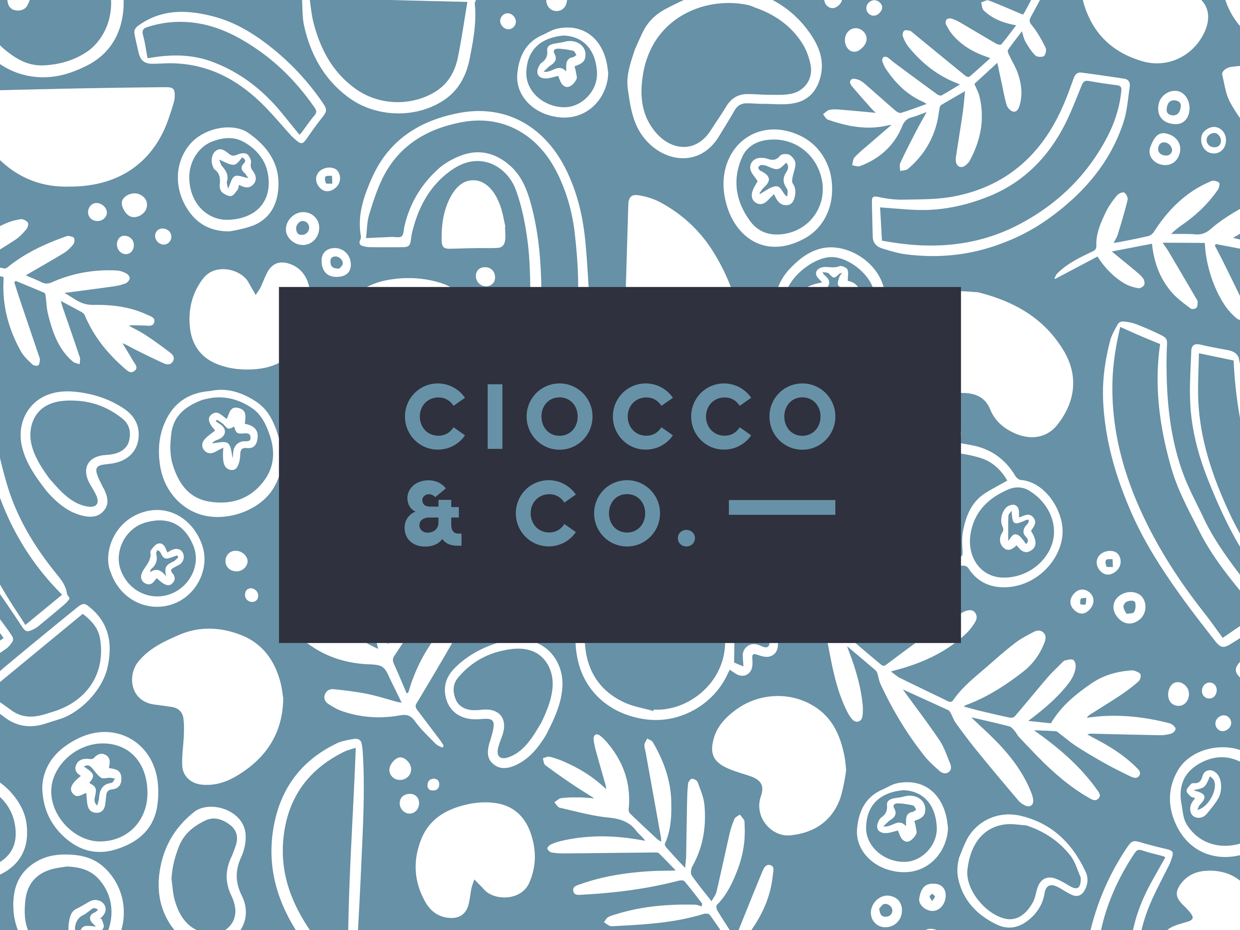 ciocco slides.png
