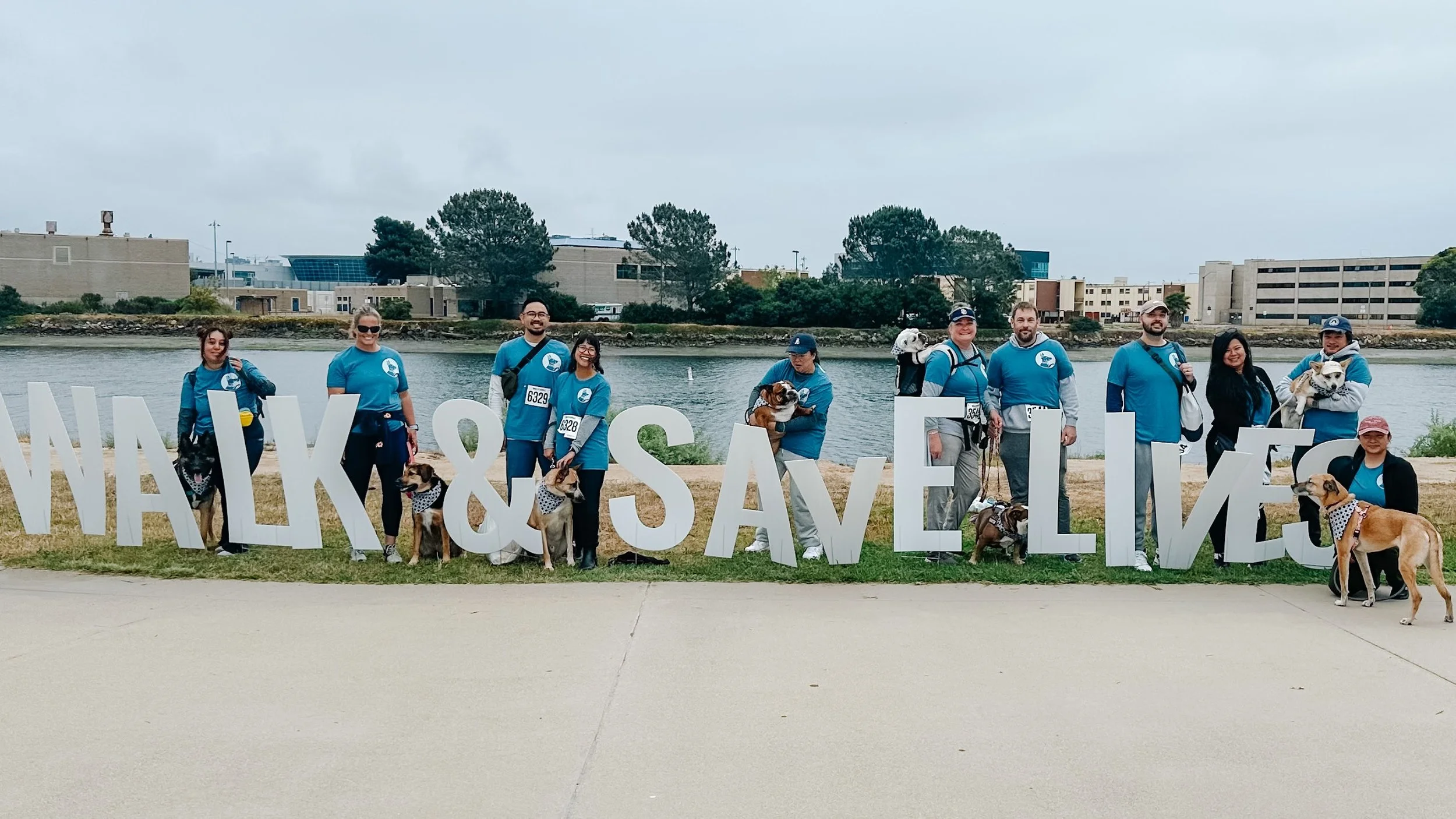 Walk For Animals 2026