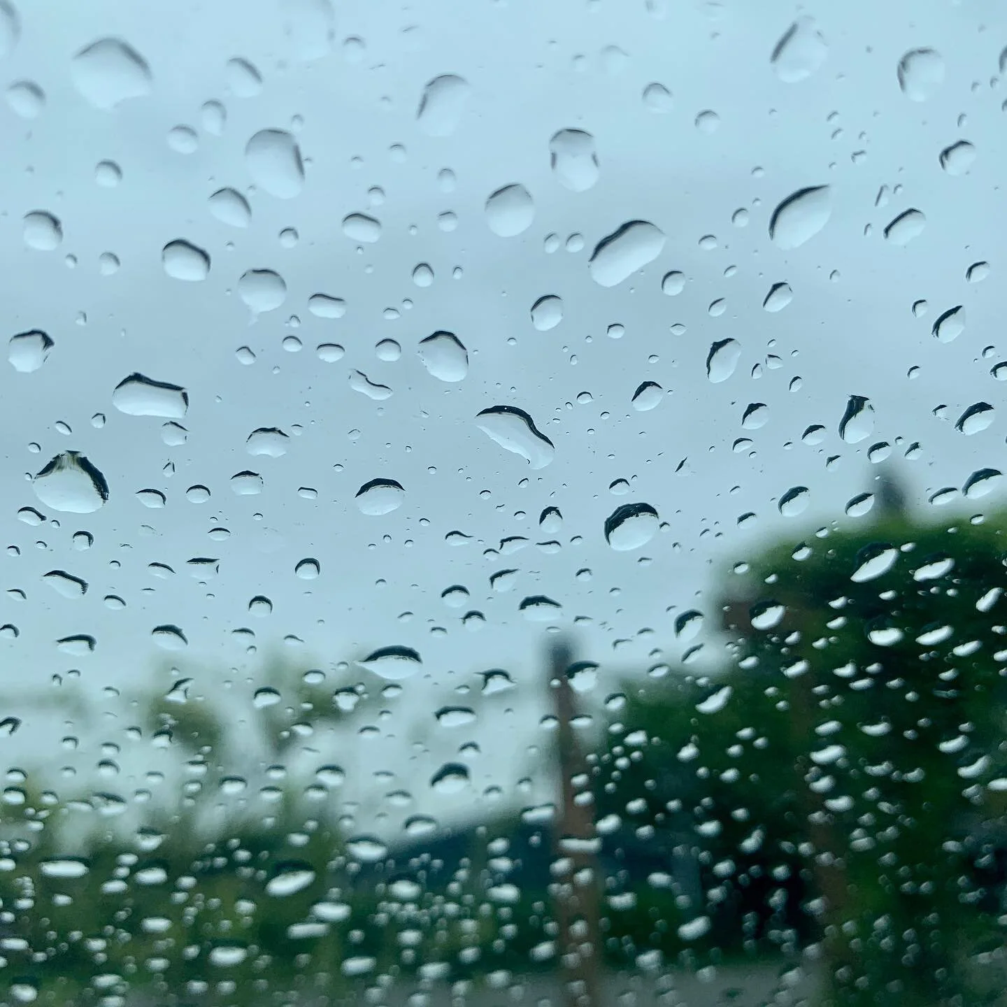 where do your unshed tears live?

today 
mine live in my jaw 
tight and clenched
raging and sad 

some days 
they hang out in my shoulders
my neck
my forehead
my chest

these tears wait for our attention
they long to live outside our bodies 

in thes