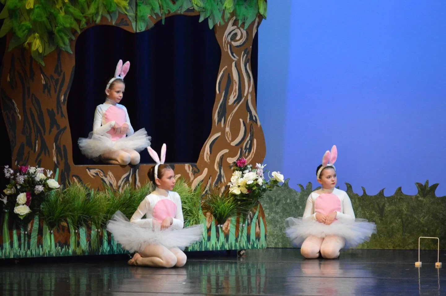 Happy Easter!

#AliceinWonderland #2020 #SpringConcert #SawneeBalletTheatre