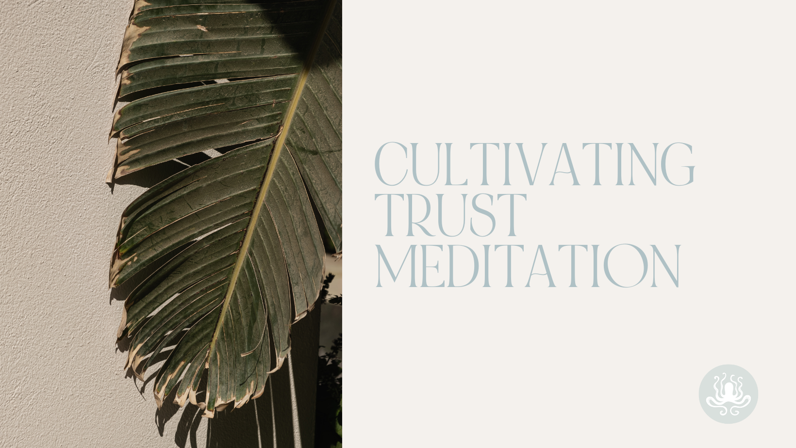 mindful-movement-guided-mediation-cultivating-trust-yoga-carly