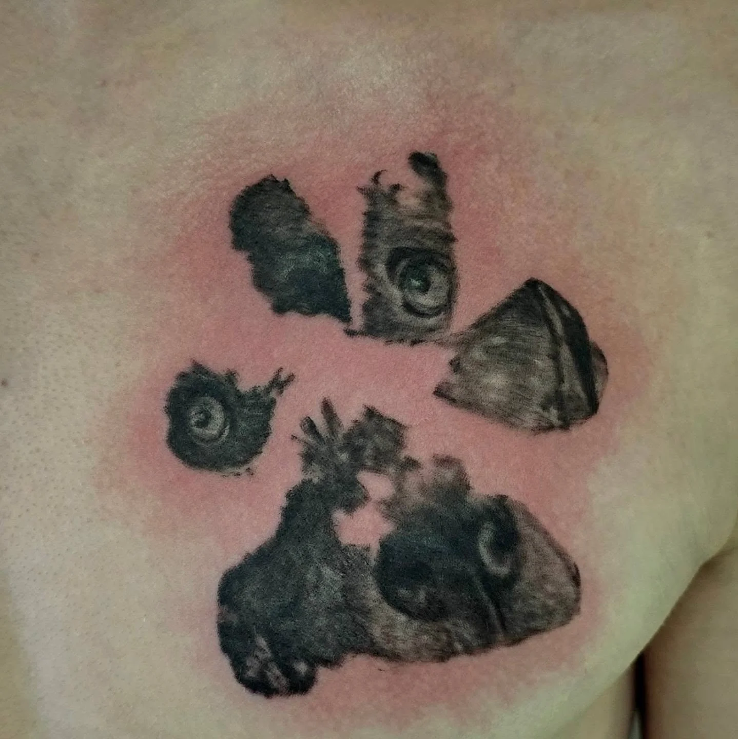 Mother and son both came to see me to help them hold a treasured friend close to them, it's always a special and emotional experience to be able to help people hold onto all the memories they shared over the years. Our pets are our best friends, they