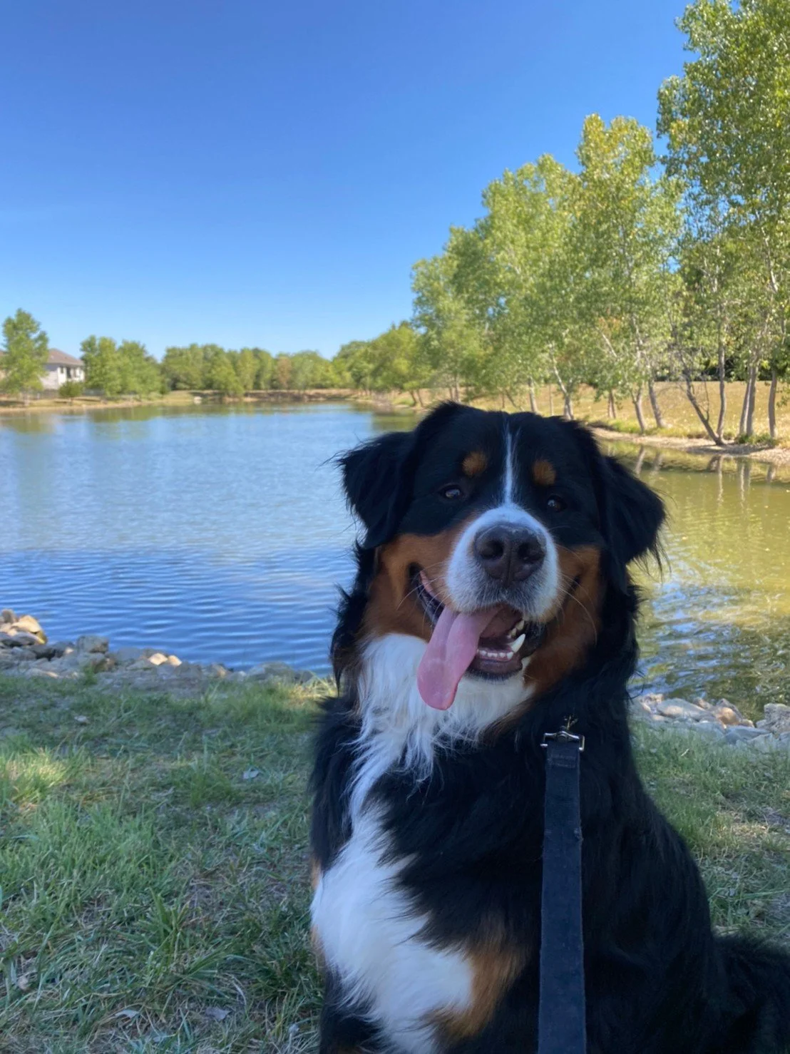 our-mission-zoho-web-design-qosmic-technology-consulting