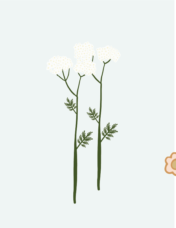 Artboard 11.png