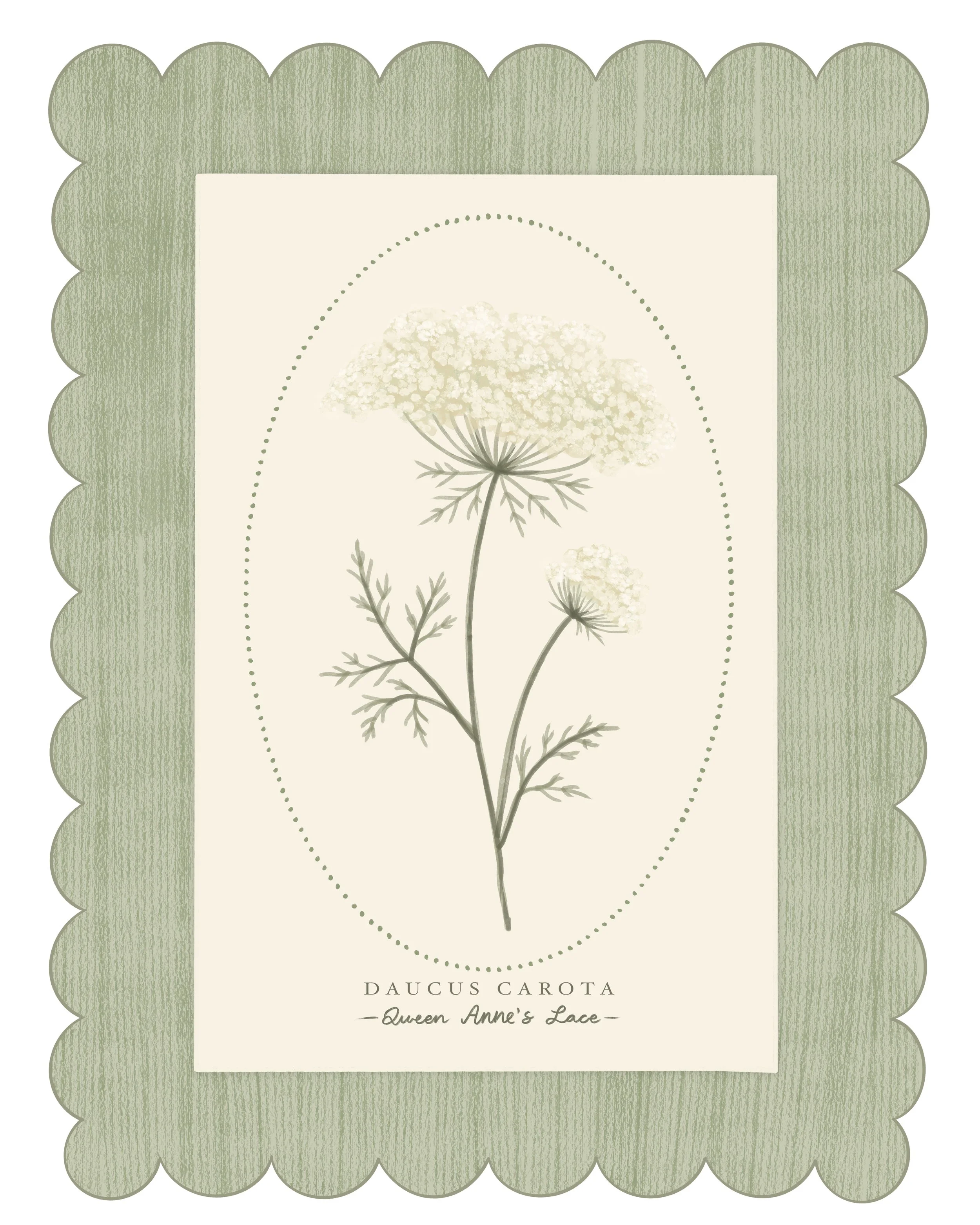 QueenAnne’sLaceScallops_JessieFitzgerald.jpg