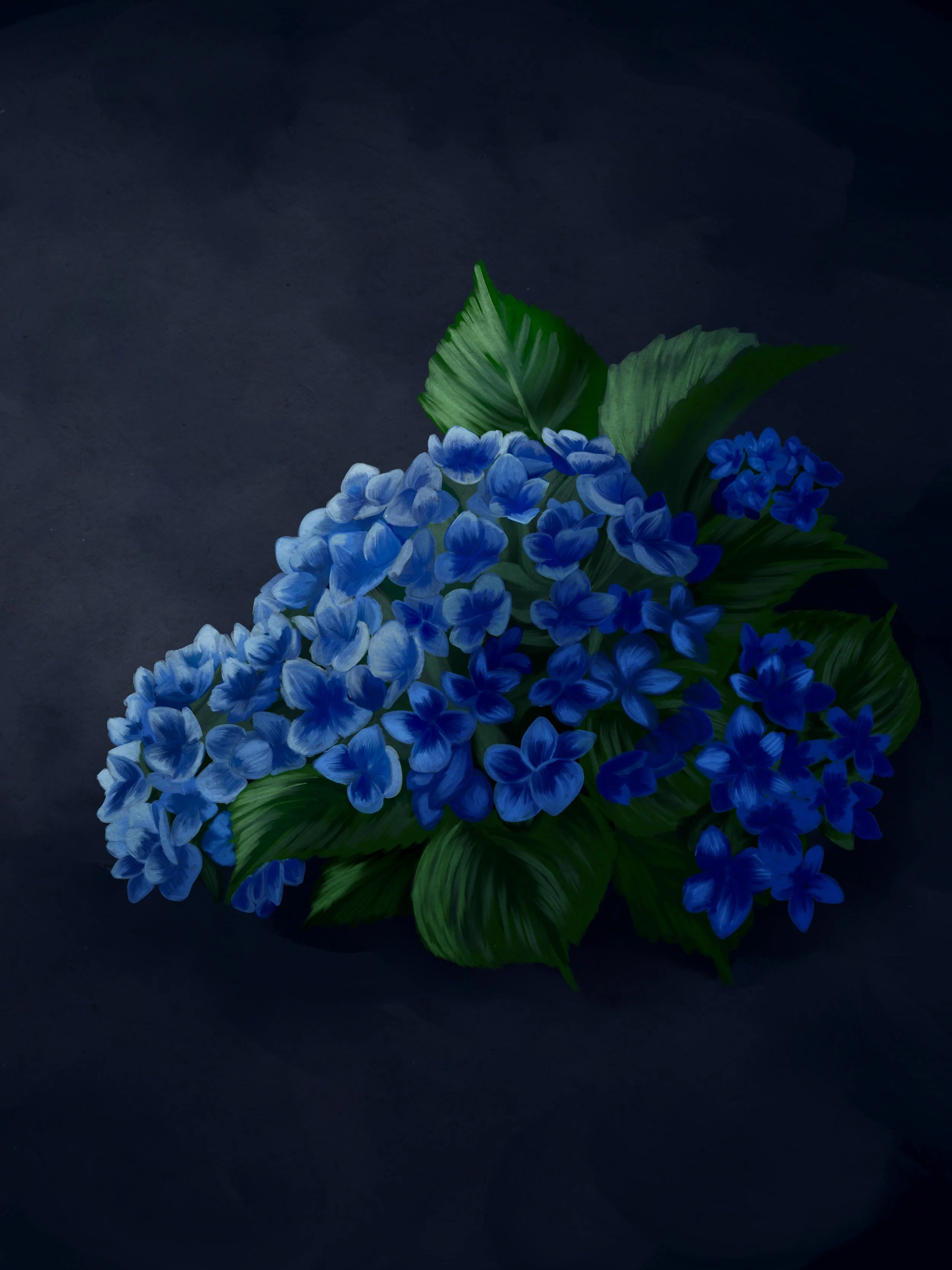 Hydrangeas Moody.jpg