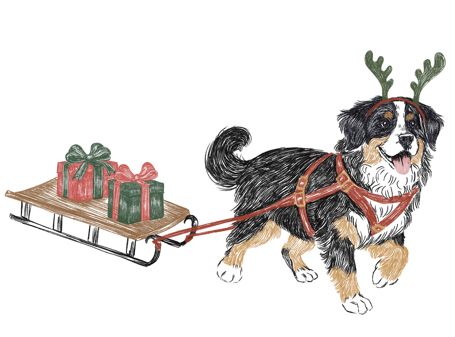 Bernese Sled_Jessie Fitzgerald.png