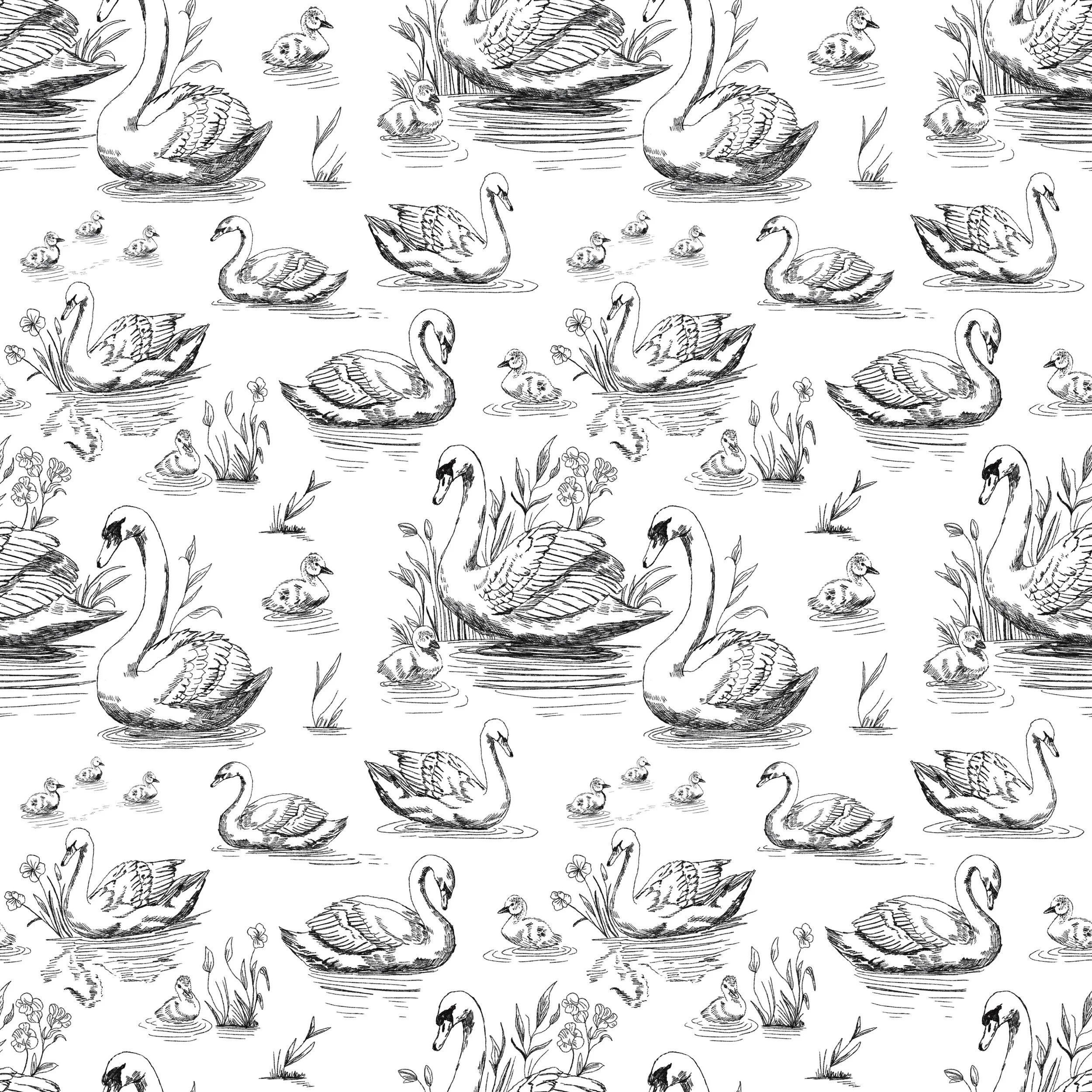 Larger Swan Toile.jpg