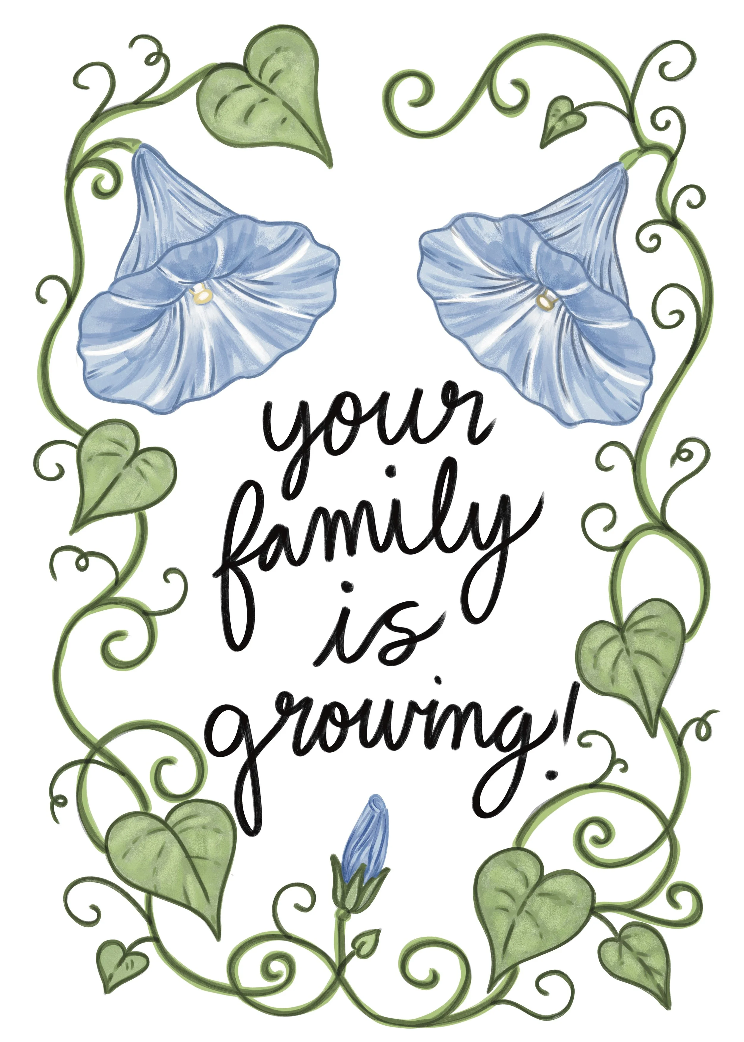 Morning Glory Family.jpg