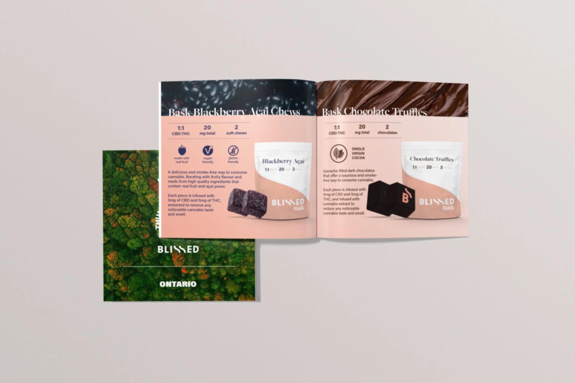 product-booklet-mockup---blissed.jpg
