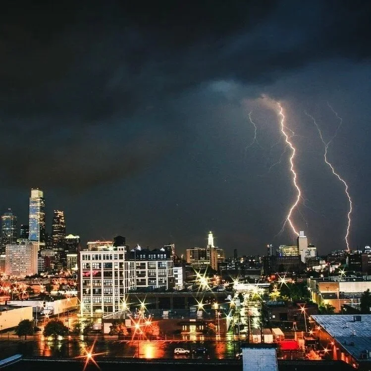 What Is a Lightning Arrester? How It Works, Types, Cost &amp; Why Florida Homes Need One