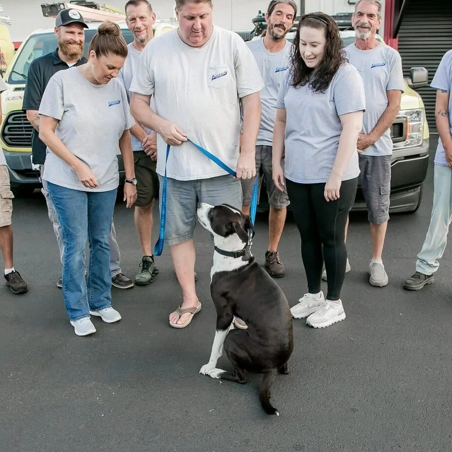 Portable Generator Safety Tips Every Homeowner Should Know